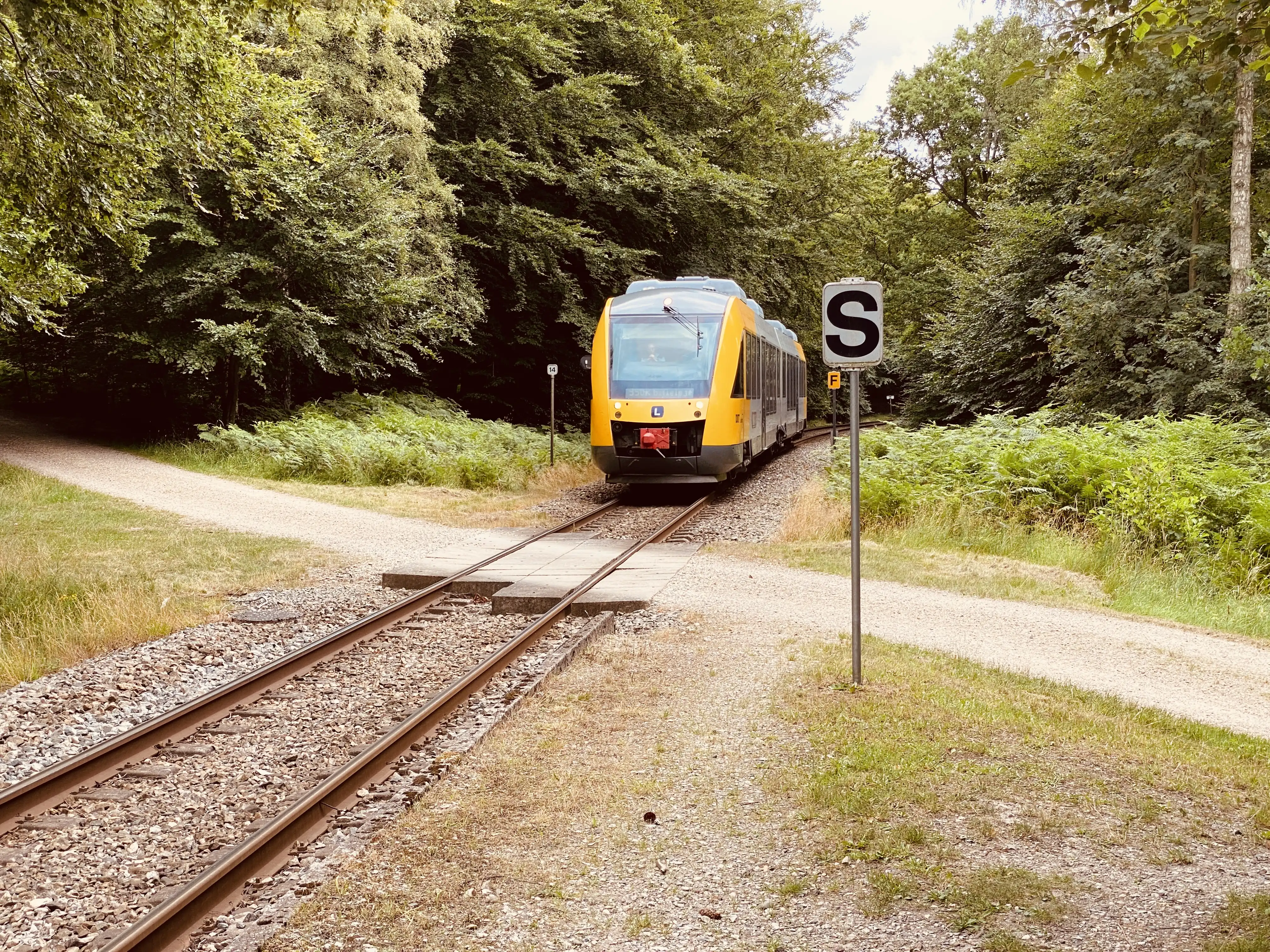Billede af tog ud for Gribsø Trinbræt. Billede af tog ud for Gribsø Trinbræt.