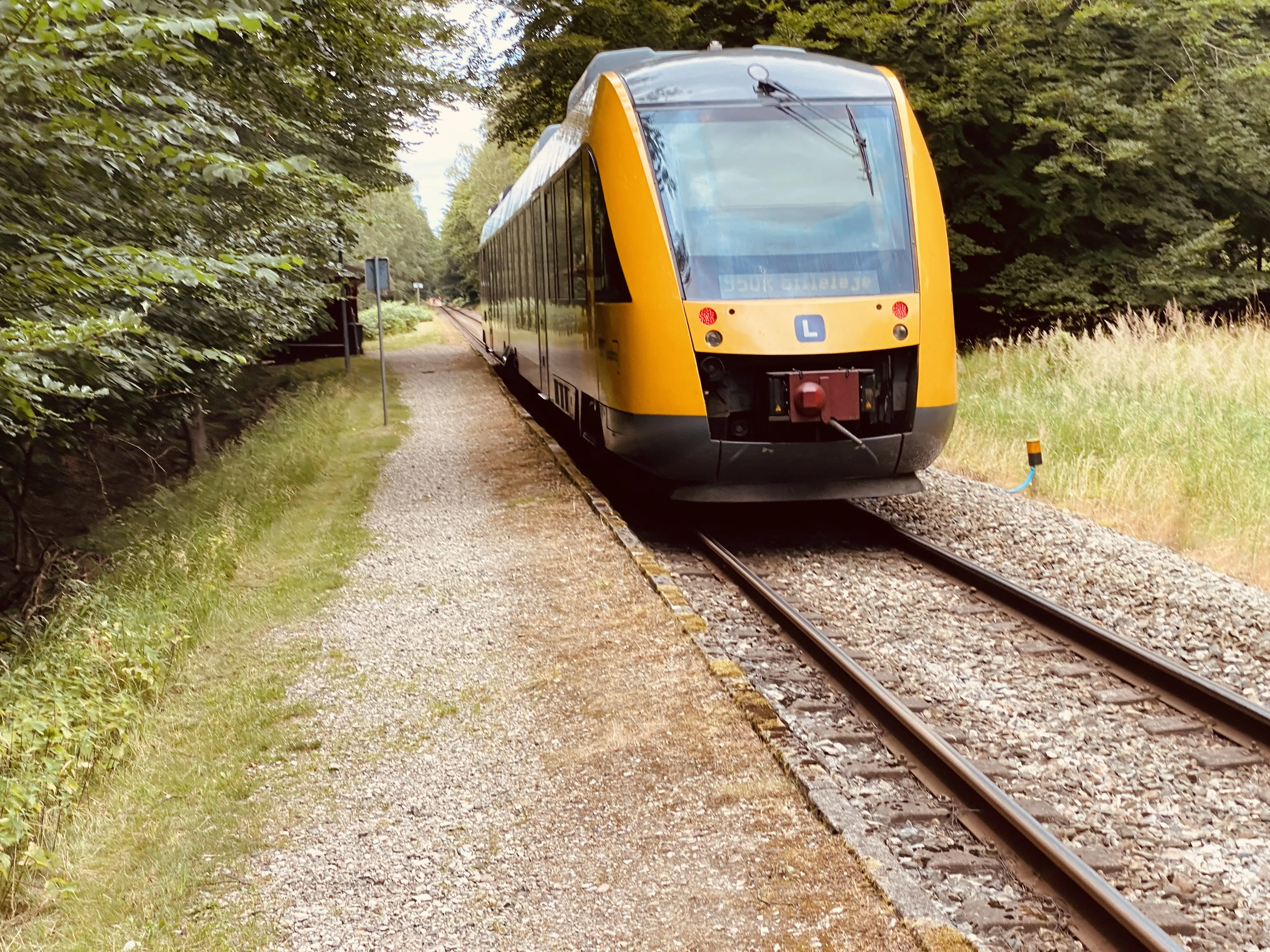 Billede af tog ud for Gribsø Trinbræt. Billede af tog ud for Gribsø Trinbræt.