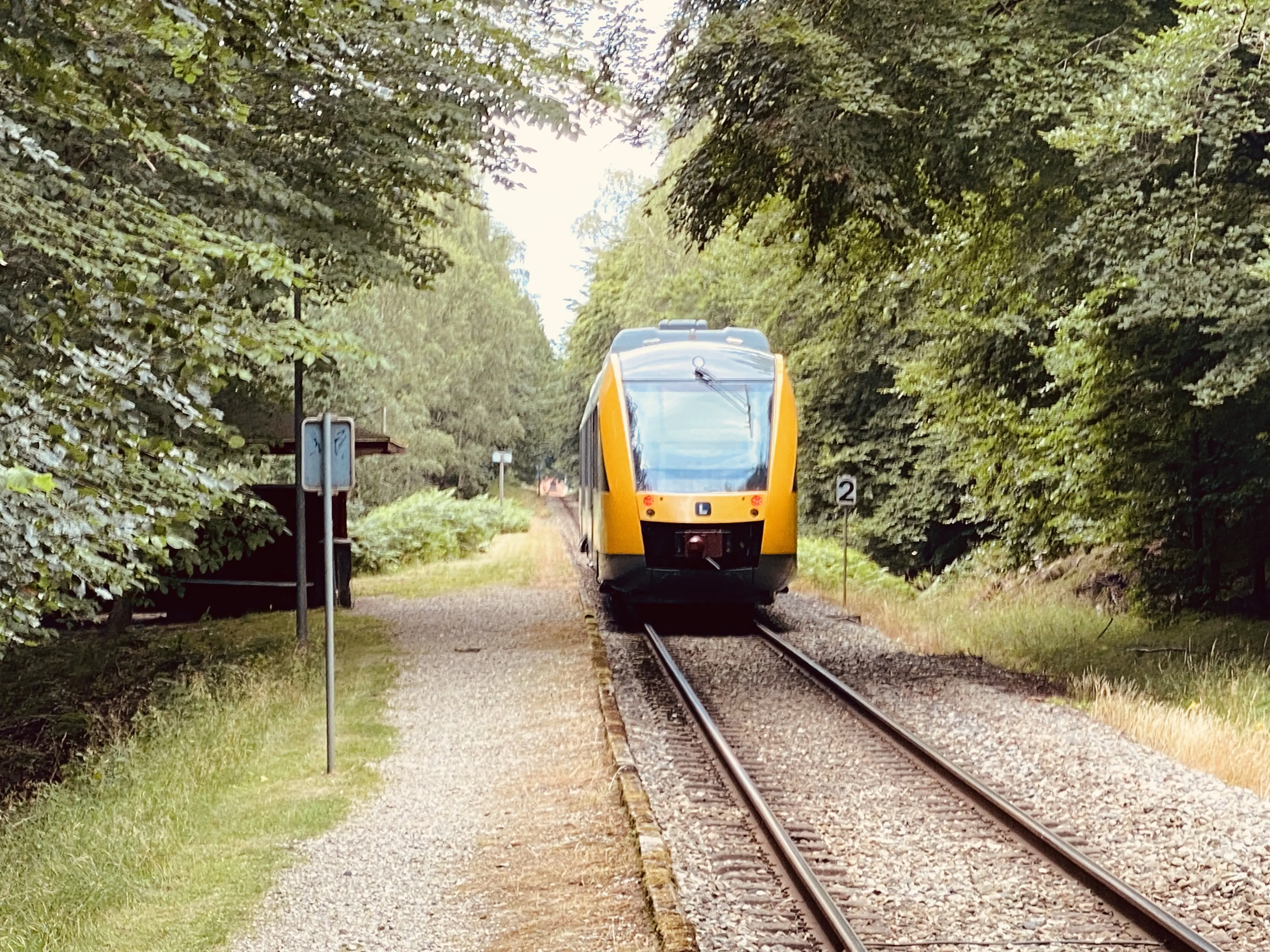 Billede af tog ud for Gribsø Trinbræt. Billede af tog ud for Gribsø Trinbræt.