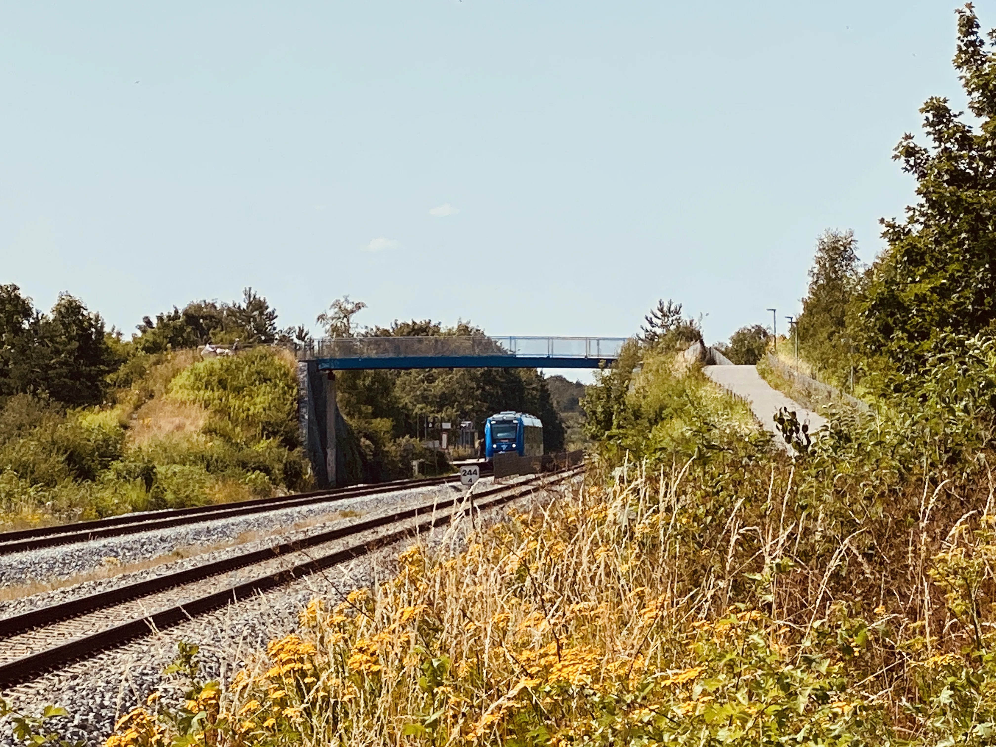 Billede af tog ud for Skalborg Trinbræt. Billede af tog ud for Skalborg Trinbræt.