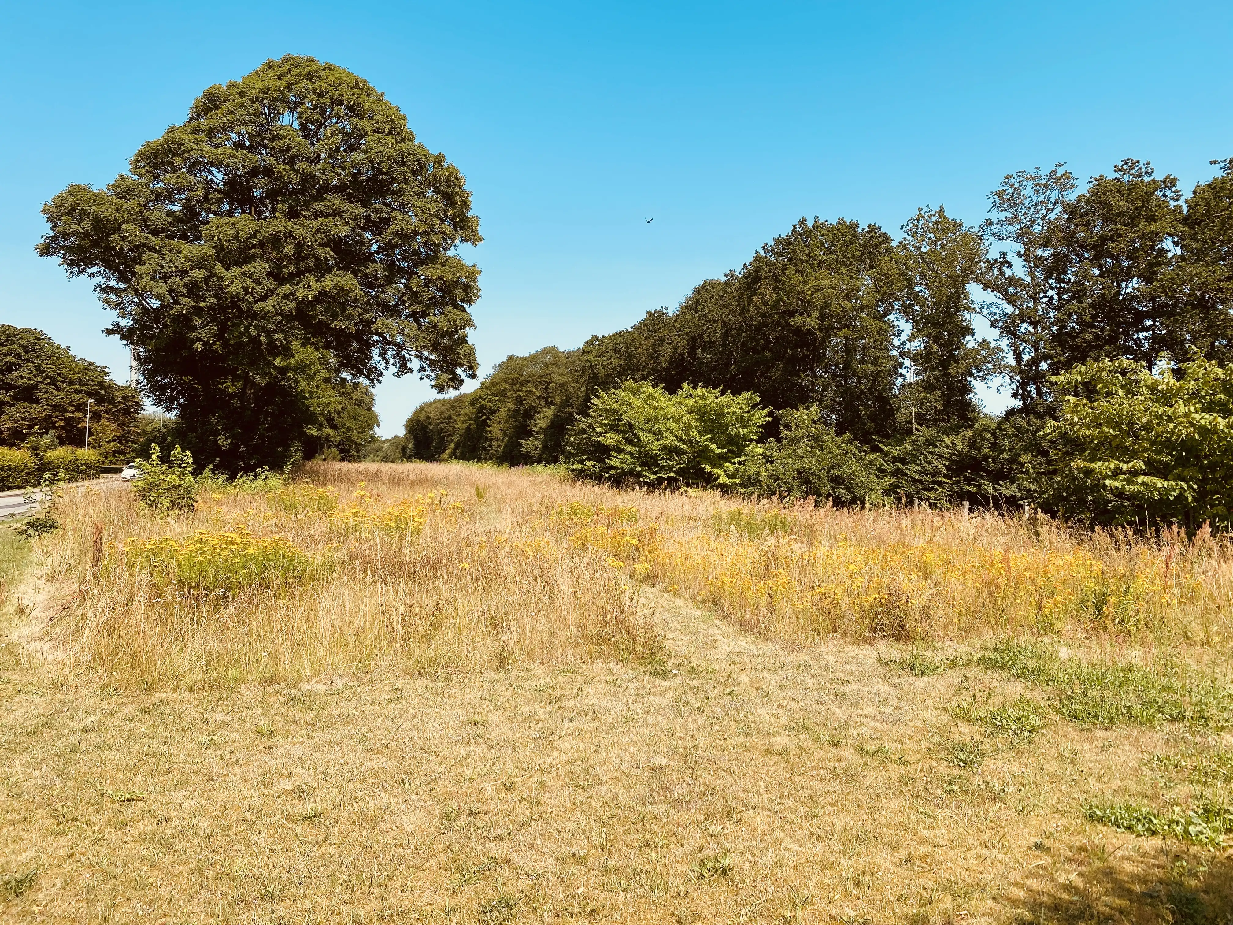 Billede af Øster Doense Station - Station er nedrevet, men Øster Doense Station har ligget her. Billede af Øster Doense Station - Station er nedrevet, men Øster Doense Station har ligget her.