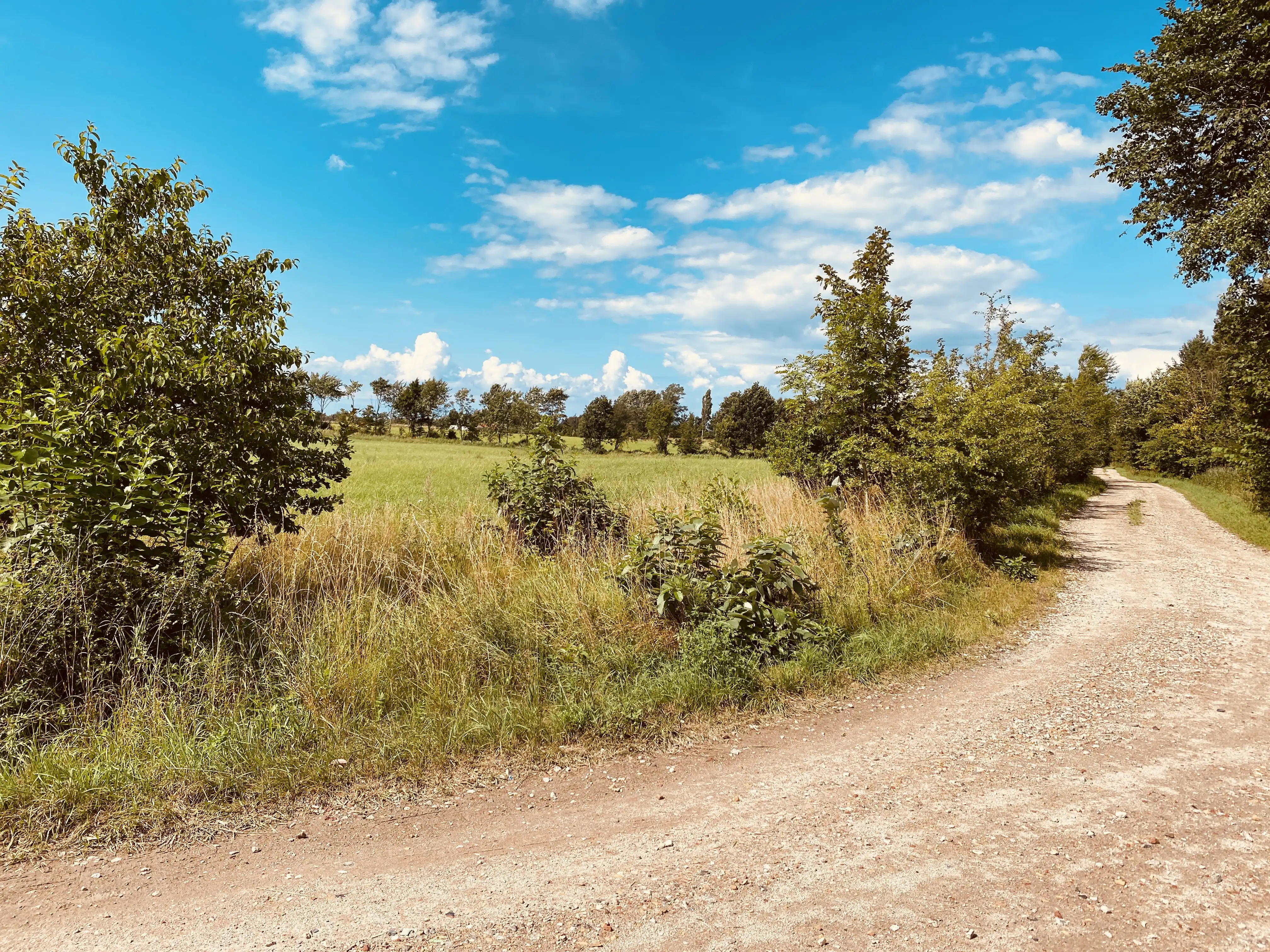 Billede af Borup Trinbræt med Sidespor - Trinbræt med Sidespor er nedrevet, men Borup Trinbræt med Sidespor har ligget her. Billede af Borup Trinbræt med Sidespor - Trinbræt med Sidespor er nedrevet, men Borup Trinbræt med Sidespor har ligget her.
