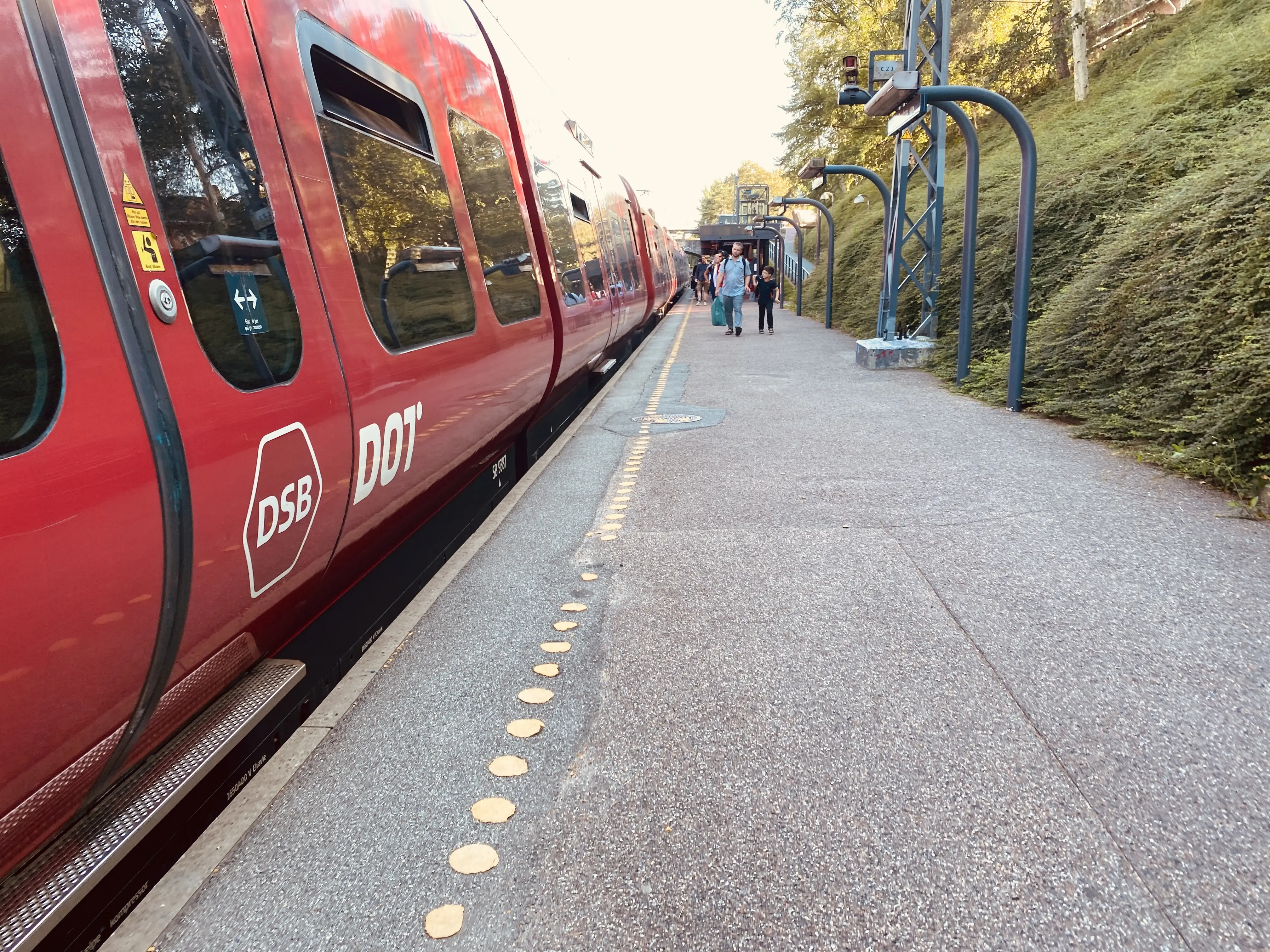 Billede af tog ud for Emdrup S-togstrinbræt. Billede af tog ud for Emdrup S-togstrinbræt.