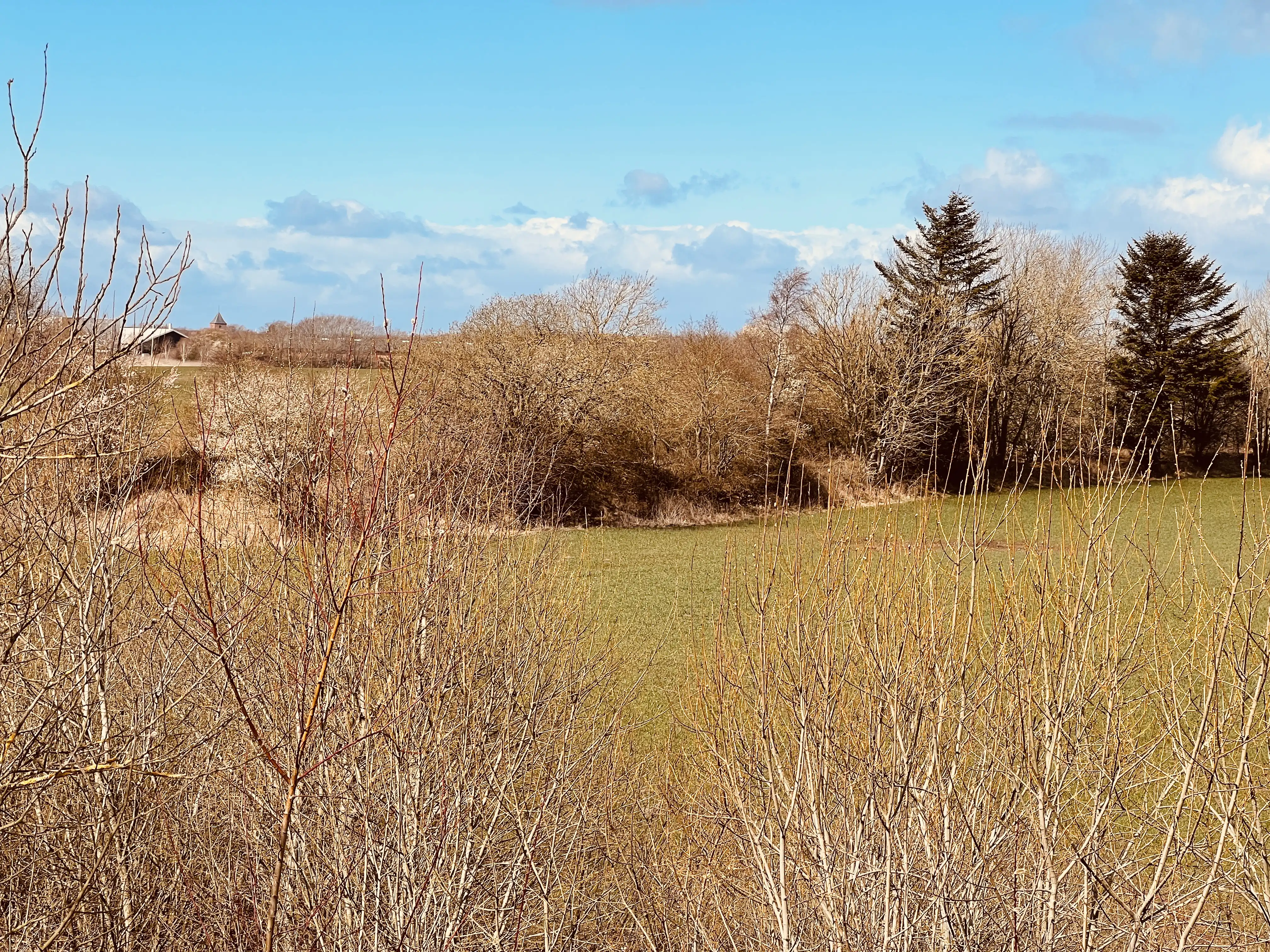 Billede af Silkeborgvejen Trinbræt - Trinbrættet er nedrevet, men banedæmningen hen til trinbrættet har delvist overlevet. Billede af Silkeborgvejen Trinbræt - Trinbrættet er nedrevet, men banedæmningen hen til trinbrættet har delvist overlevet.