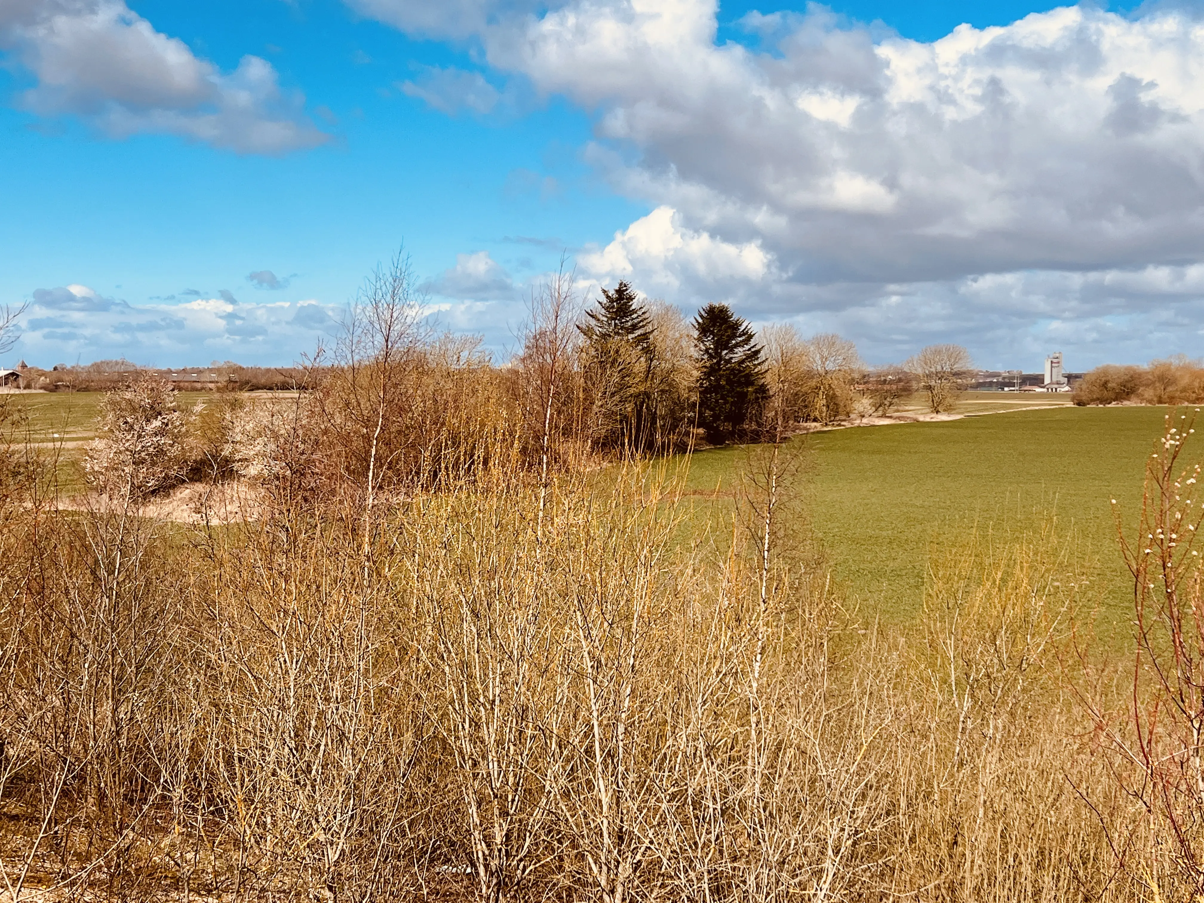 Billede af Silkeborgvejen Trinbræt - Trinbrættet er nedrevet, men banedæmningen hen til trinbrættet har delvist overlevet. Billede af Silkeborgvejen Trinbræt - Trinbrættet er nedrevet, men banedæmningen hen til trinbrættet har delvist overlevet.