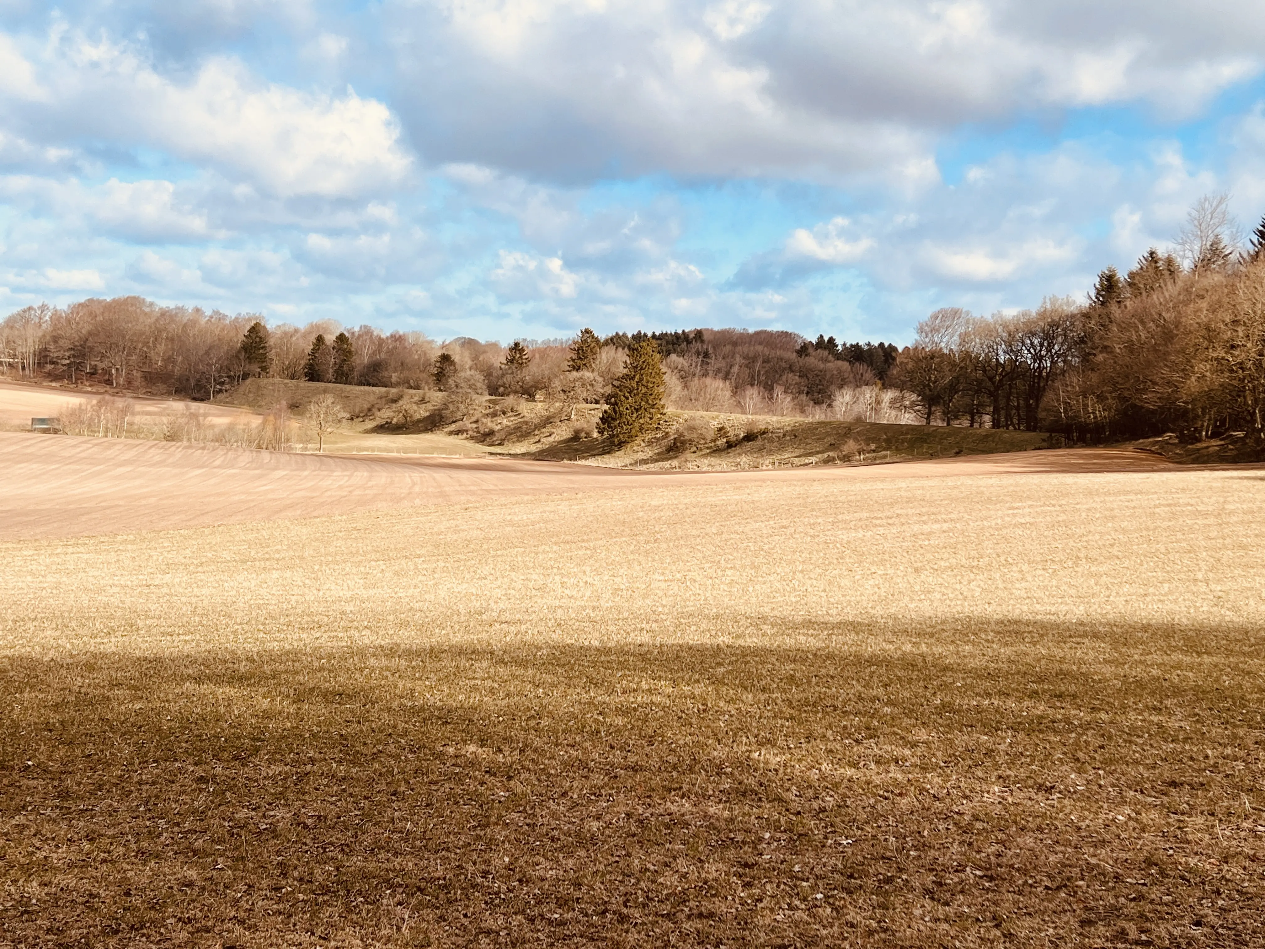 Billede af banedæmningen mellem Tulstrupvejen Trinbræt og Sall Station.