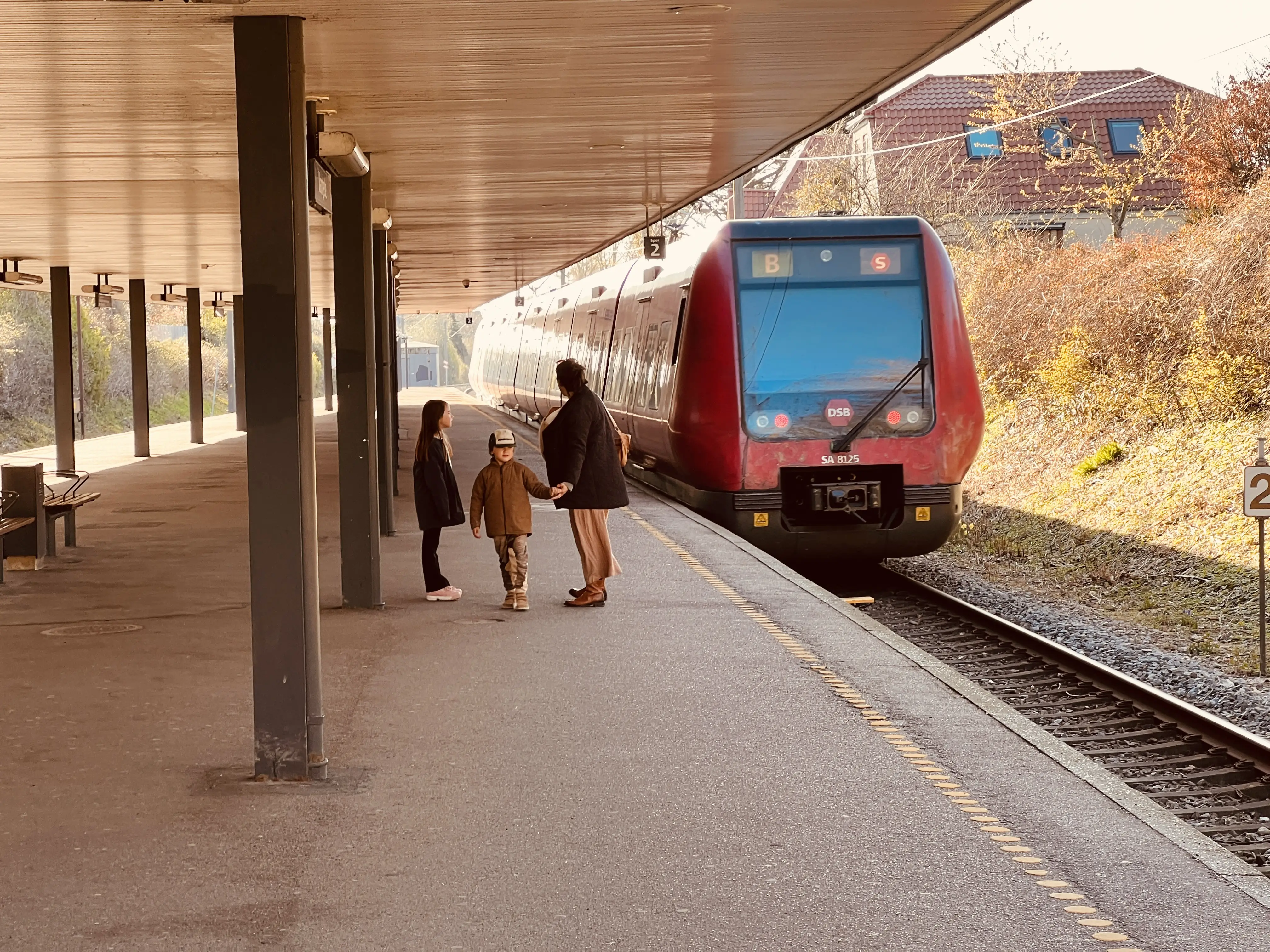 Billede af tog ud for Vangede S-togstrinbræt.