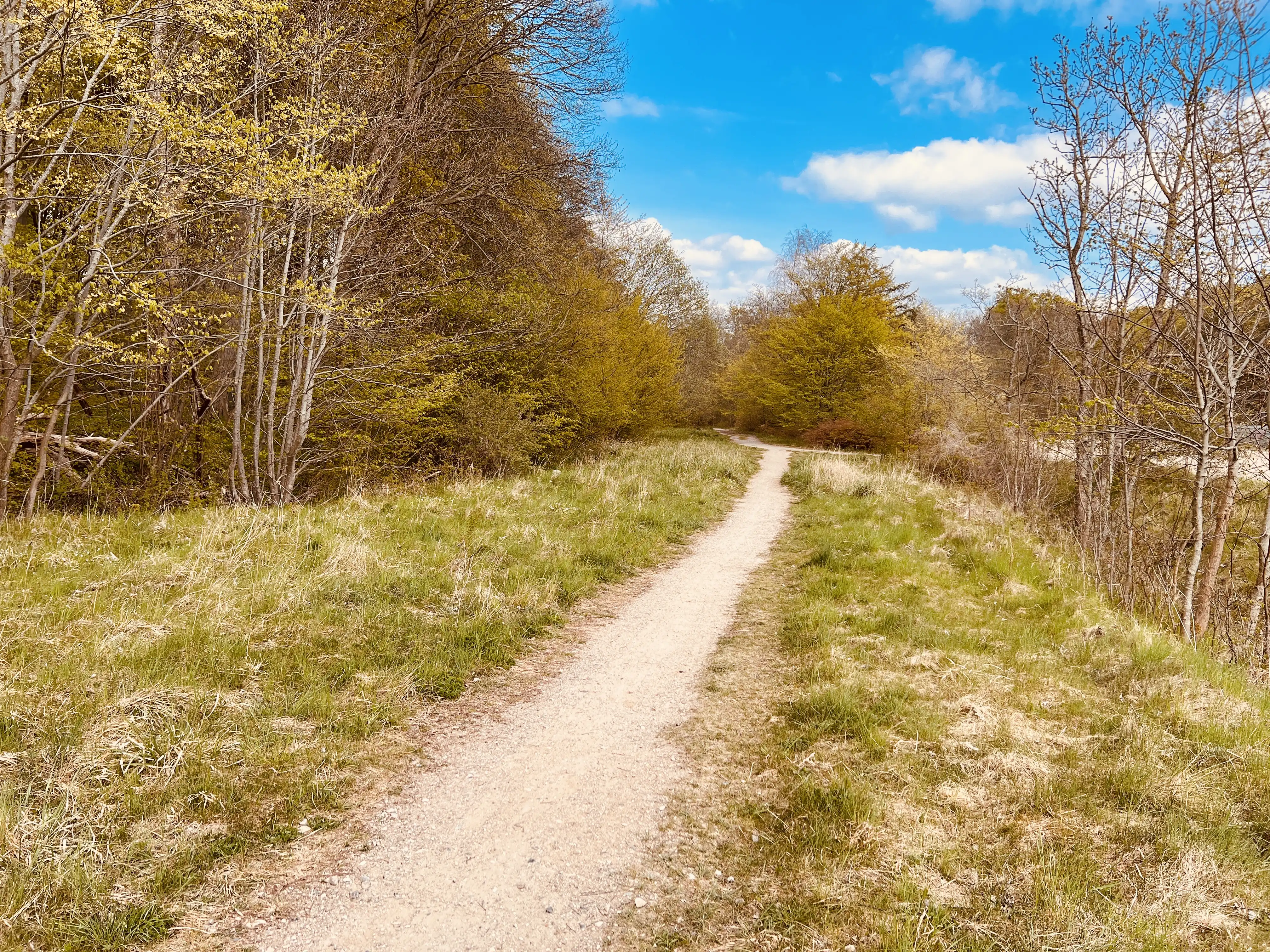 Billede af der hvor den nedlagte bane gik fra Sorø Station til Sorø (by) Station. Billede af der hvor den nedlagte bane gik fra Sorø Station til Sorø (by) Station.