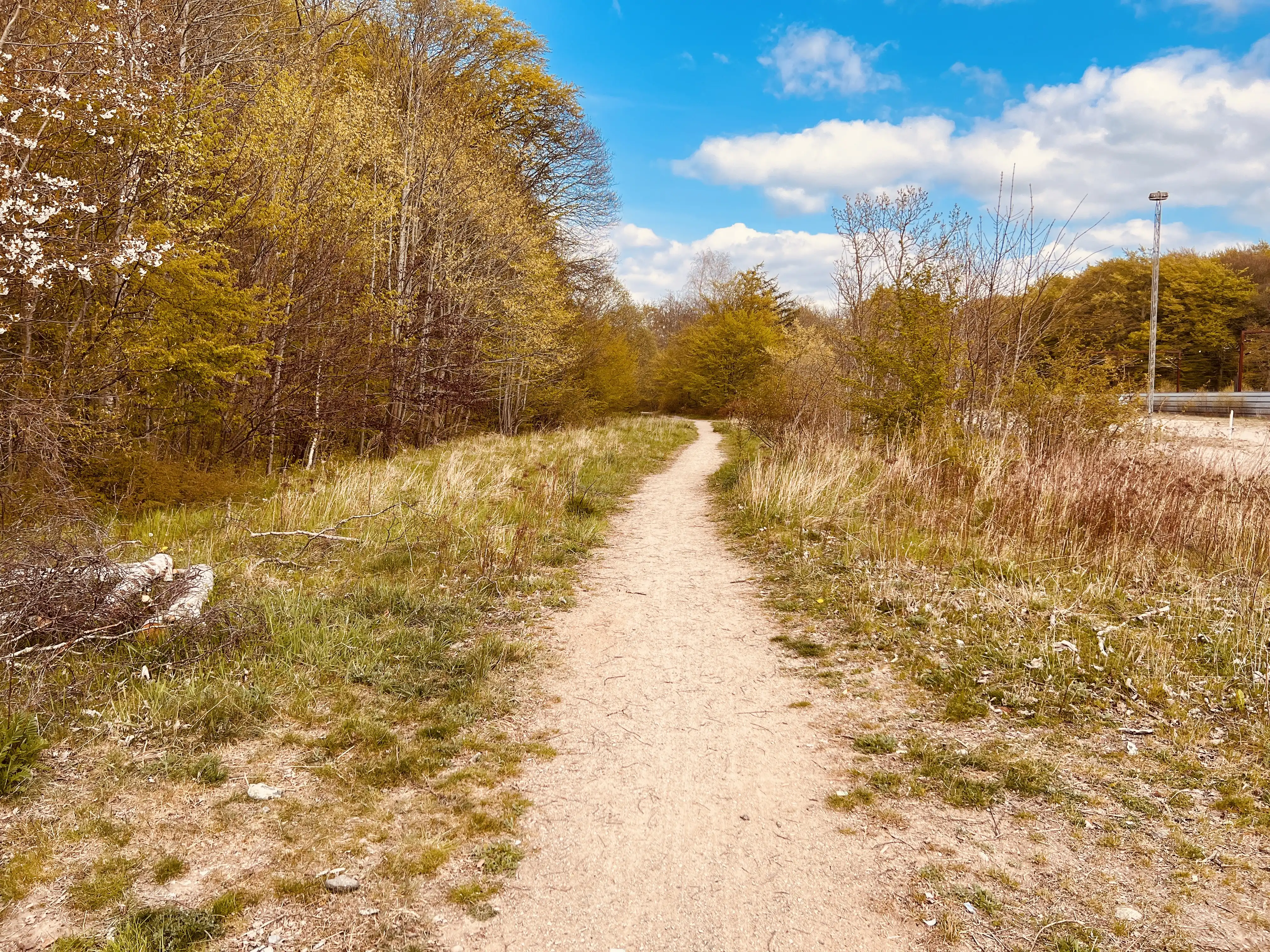 Billede af der hvor den nedlagte bane gik fra Sorø Station til Sorø (by) Station. Billede af der hvor den nedlagte bane gik fra Sorø Station til Sorø (by) Station.
