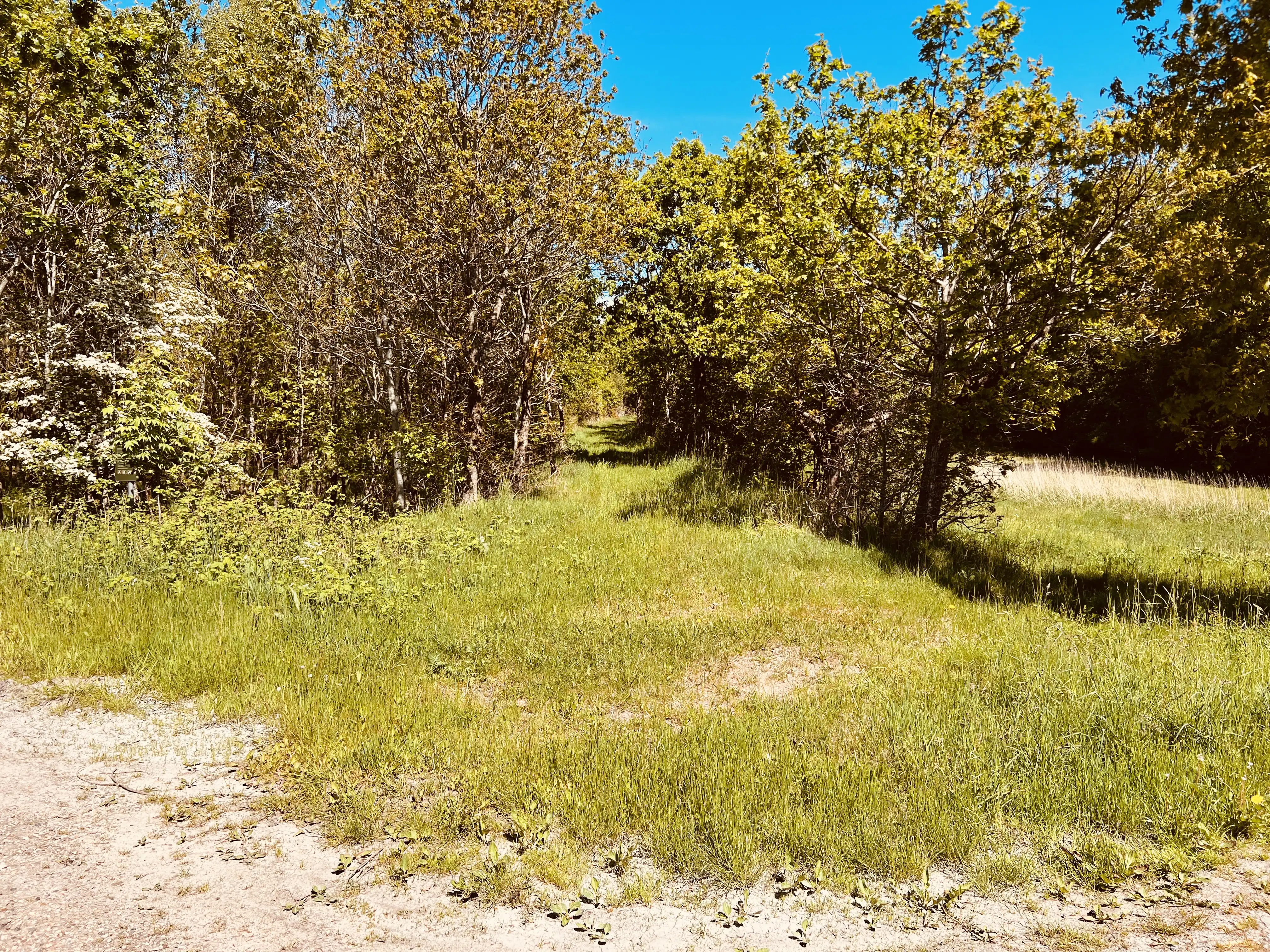 Billede af Hofmansfeld Trinbræt - Trinbræt er nedrevet, men Hofmansfeld Trinbræt har ligget her. Billede af Hofmansfeld Trinbræt - Trinbræt er nedrevet, men Hofmansfeld Trinbræt har ligget her.