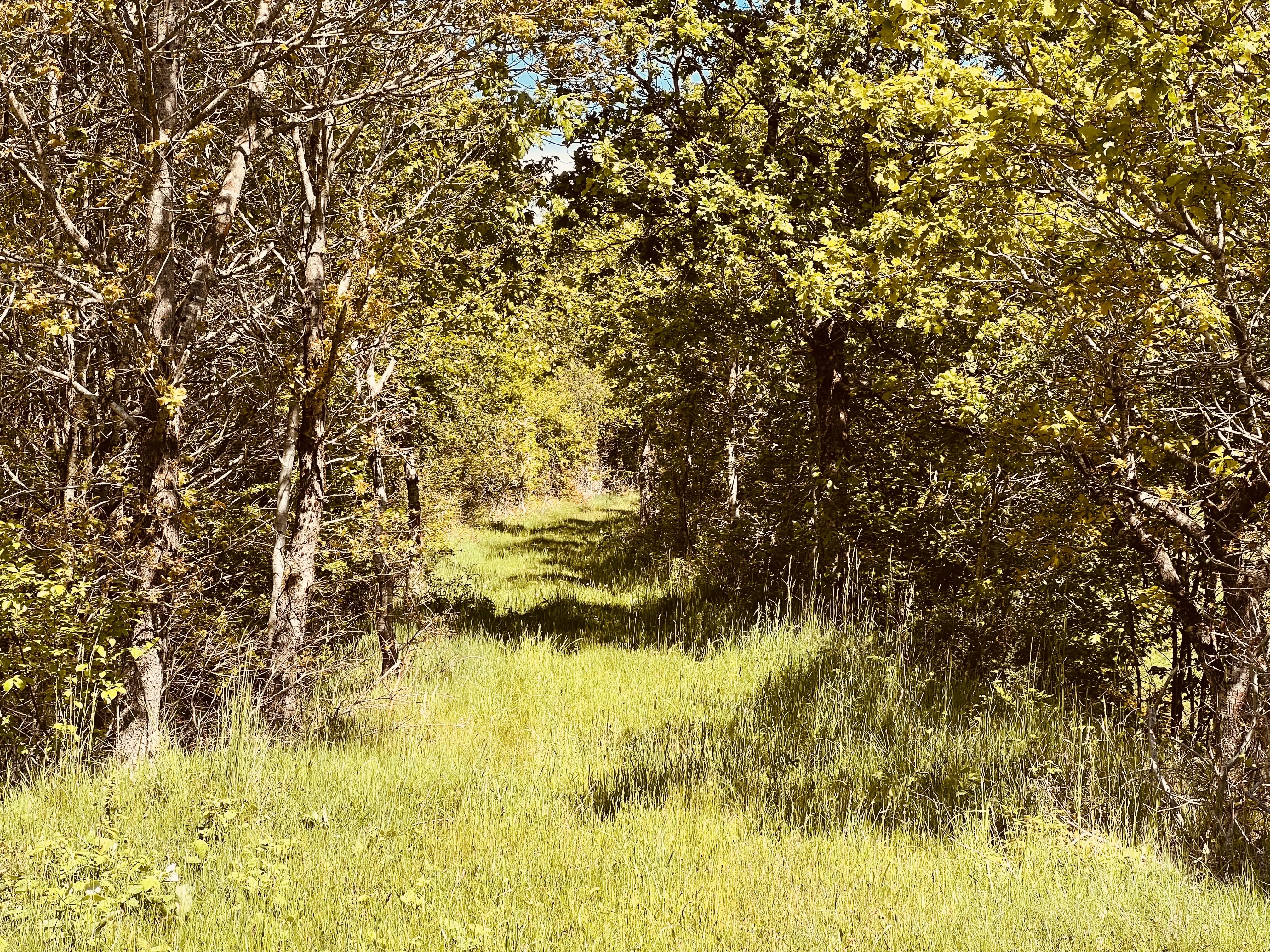 Billede af Hofmansfeld Trinbræt - Trinbræt er nedrevet, men Hofmansfeld Trinbræt har ligget her. Billede af Hofmansfeld Trinbræt - Trinbræt er nedrevet, men Hofmansfeld Trinbræt har ligget her.
