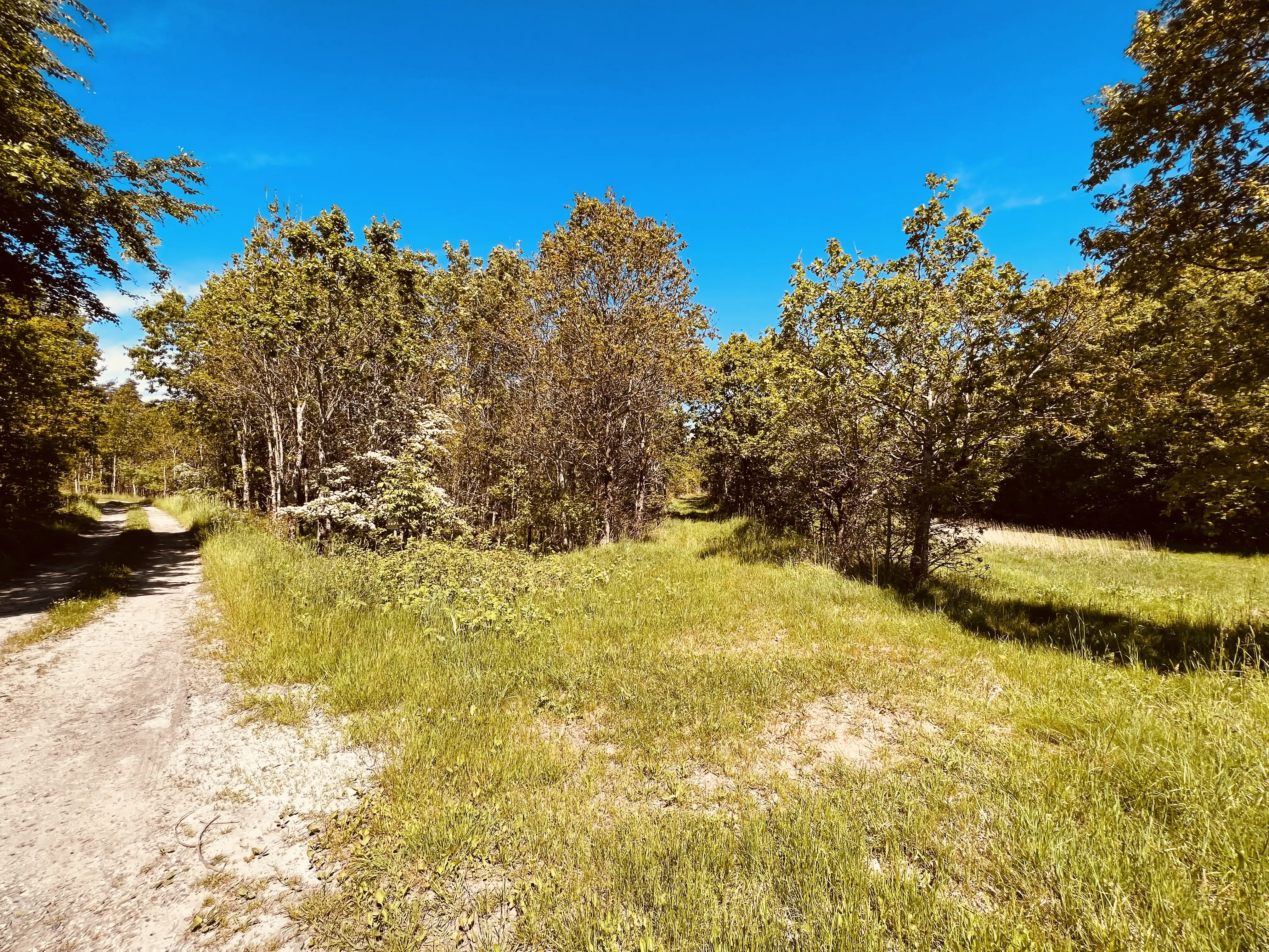 Billede af Hofmansfeld Trinbræt - Trinbræt er nedrevet, men Hofmansfeld Trinbræt har ligget her. Billede af Hofmansfeld Trinbræt - Trinbræt er nedrevet, men Hofmansfeld Trinbræt har ligget her.