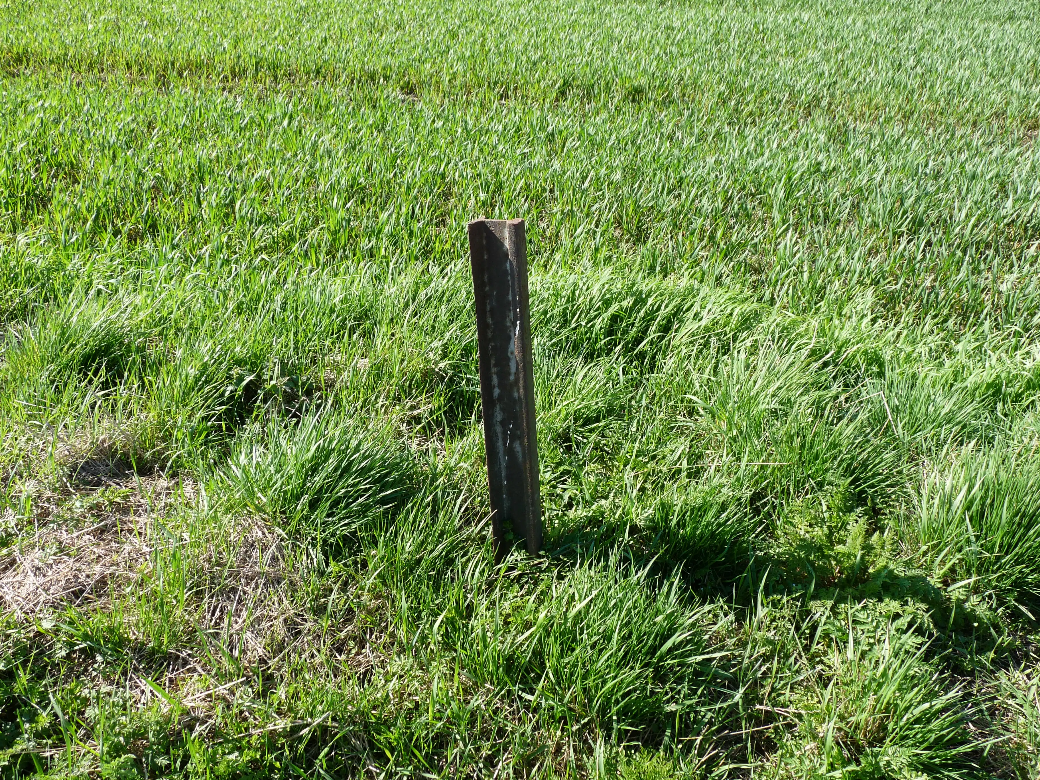 Billede af Vester Kærby Trinbræt - Trinbræt er nedrevet, men Vester Kærby Trinbræt har ligget her. Billede af Vester Kærby Trinbræt - Trinbræt er nedrevet, men Vester Kærby Trinbræt har ligget her.