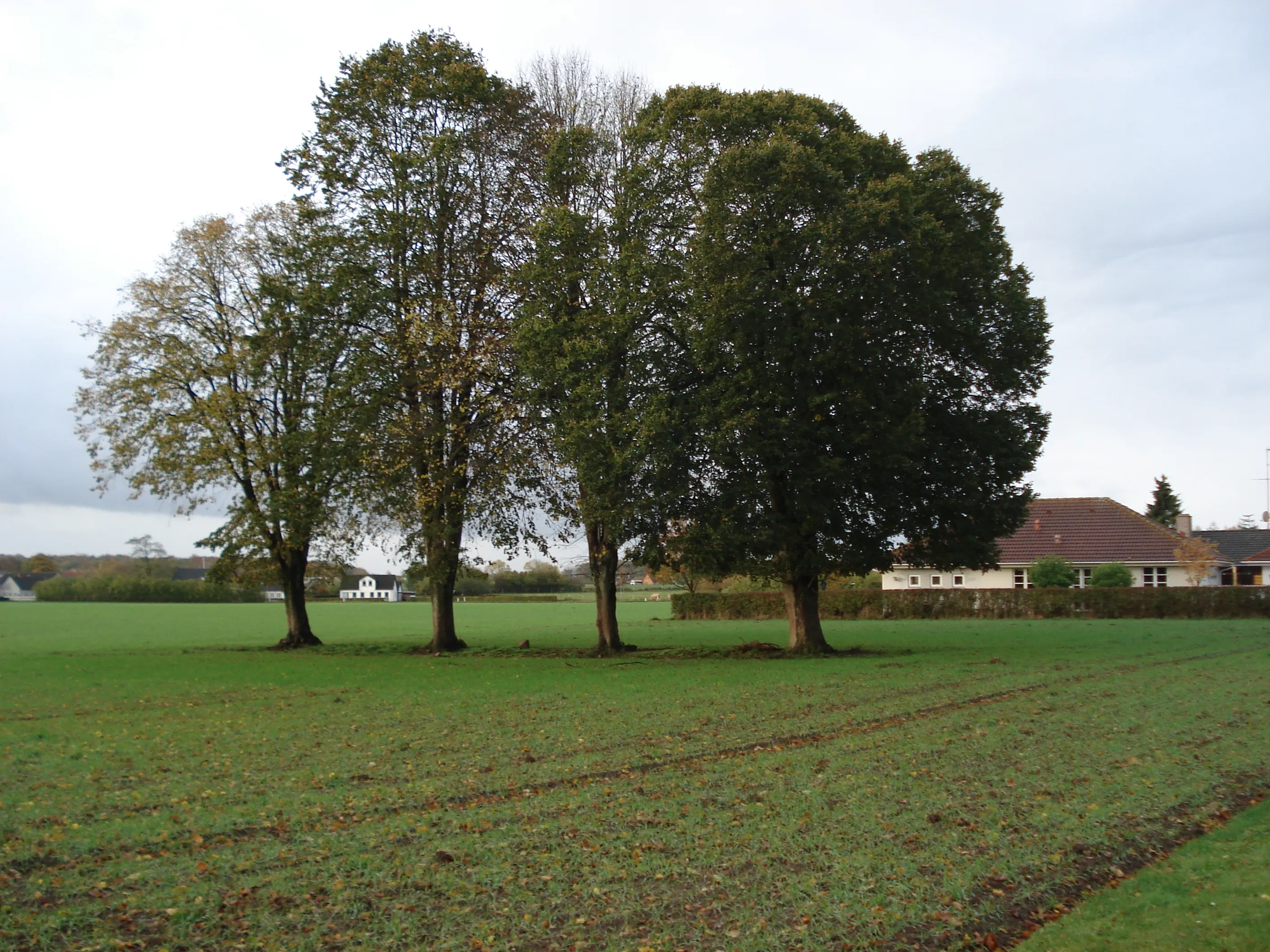 Billede af Fangel Station - Station er nedrevet, men Fangel Station har ligget her.