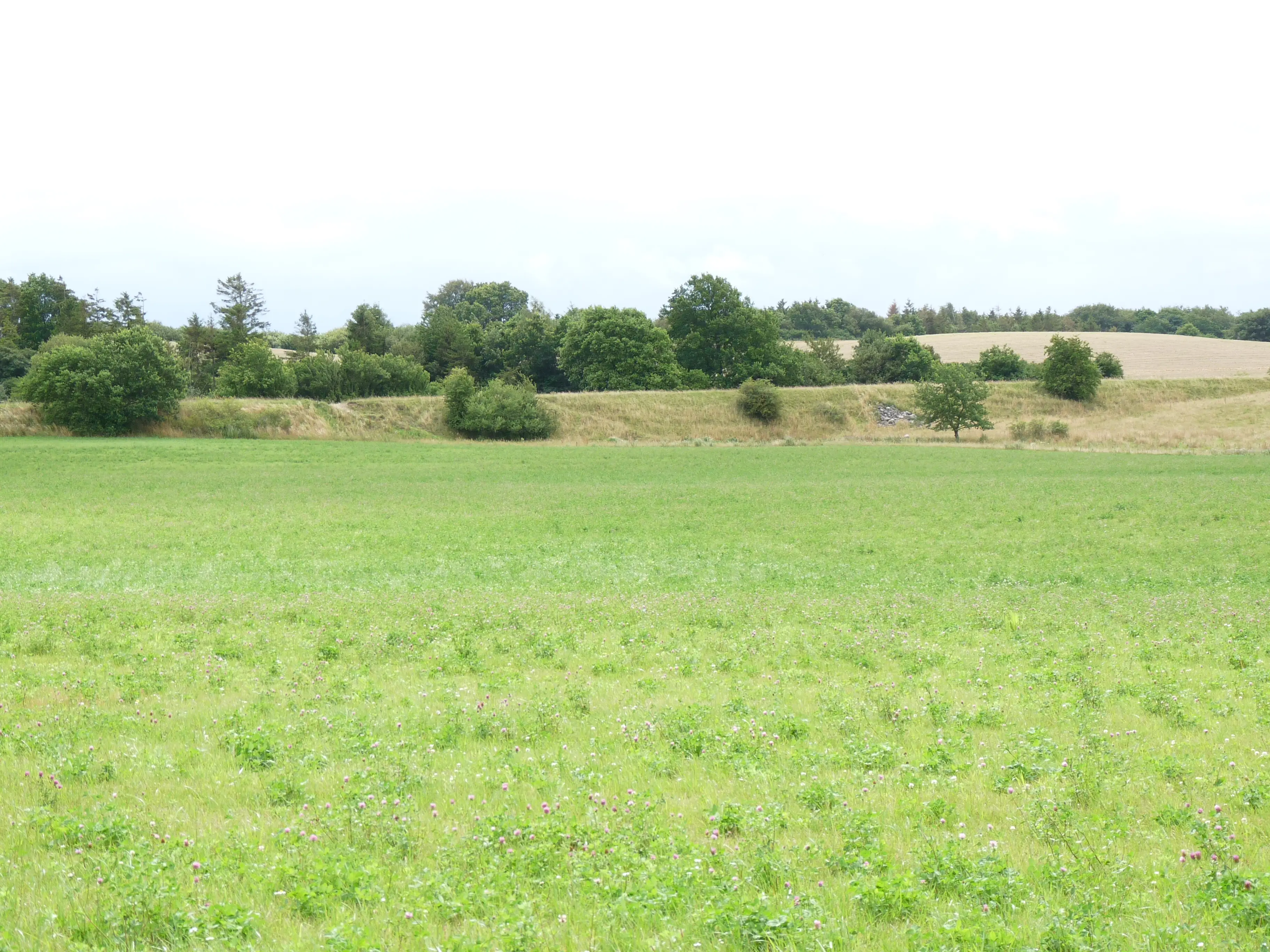 Billede af banevolden ved Ernebjerg Holdeplads.