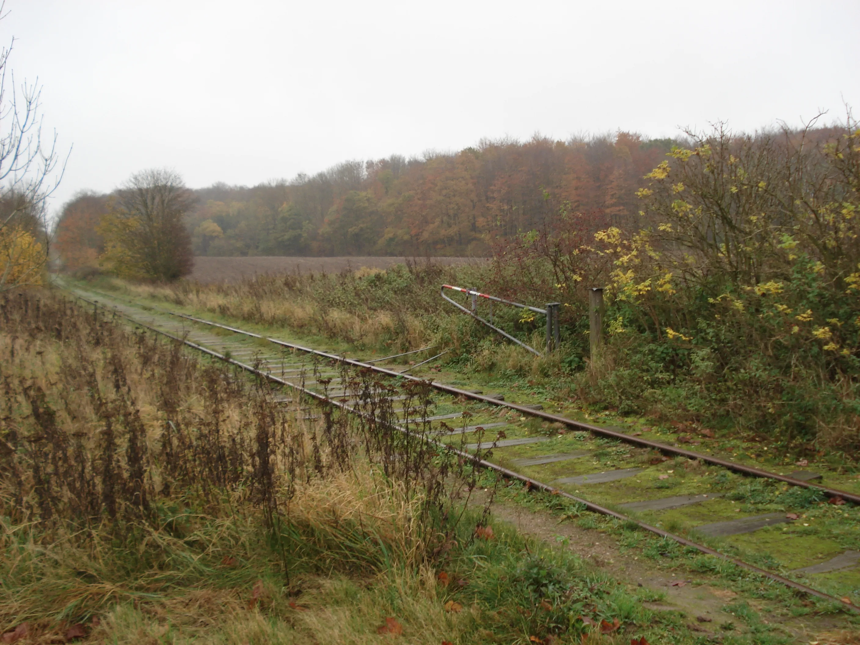Billede af Kivsmose Trinbræt - Trinbræt er nedrevet, men Kivsmose Trinbræt har ligget her.