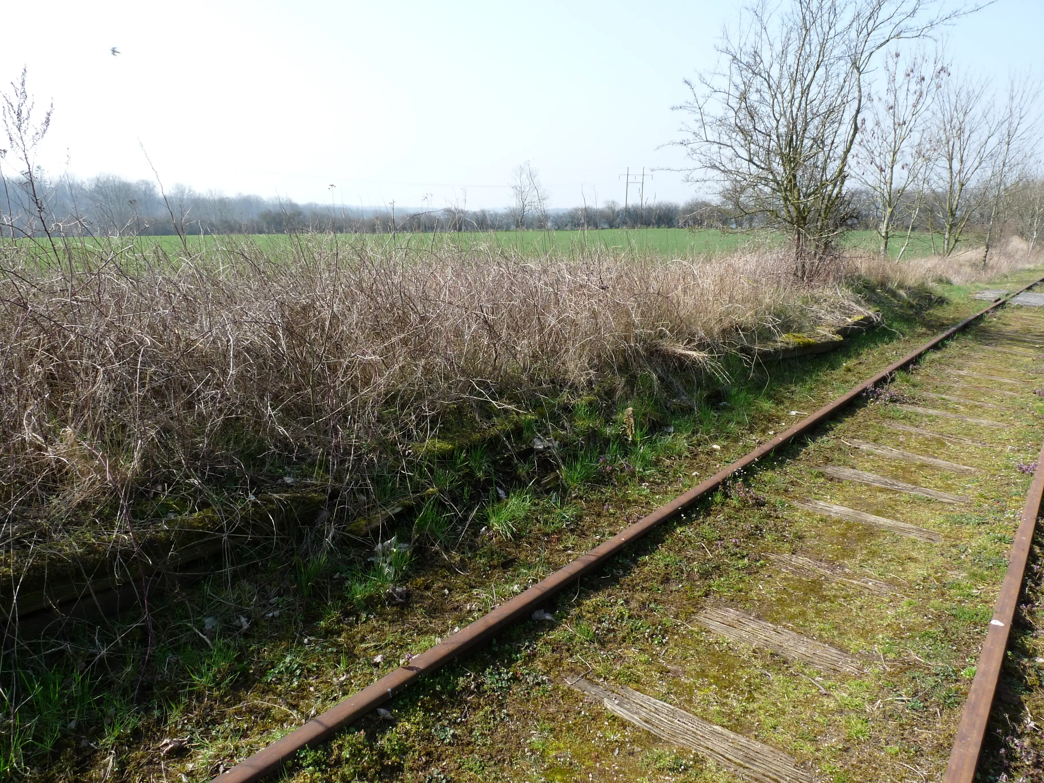 Billede af Høed Trinbræt - Trinbræt er nedrevet, men Høed Trinbræt har ligget her.