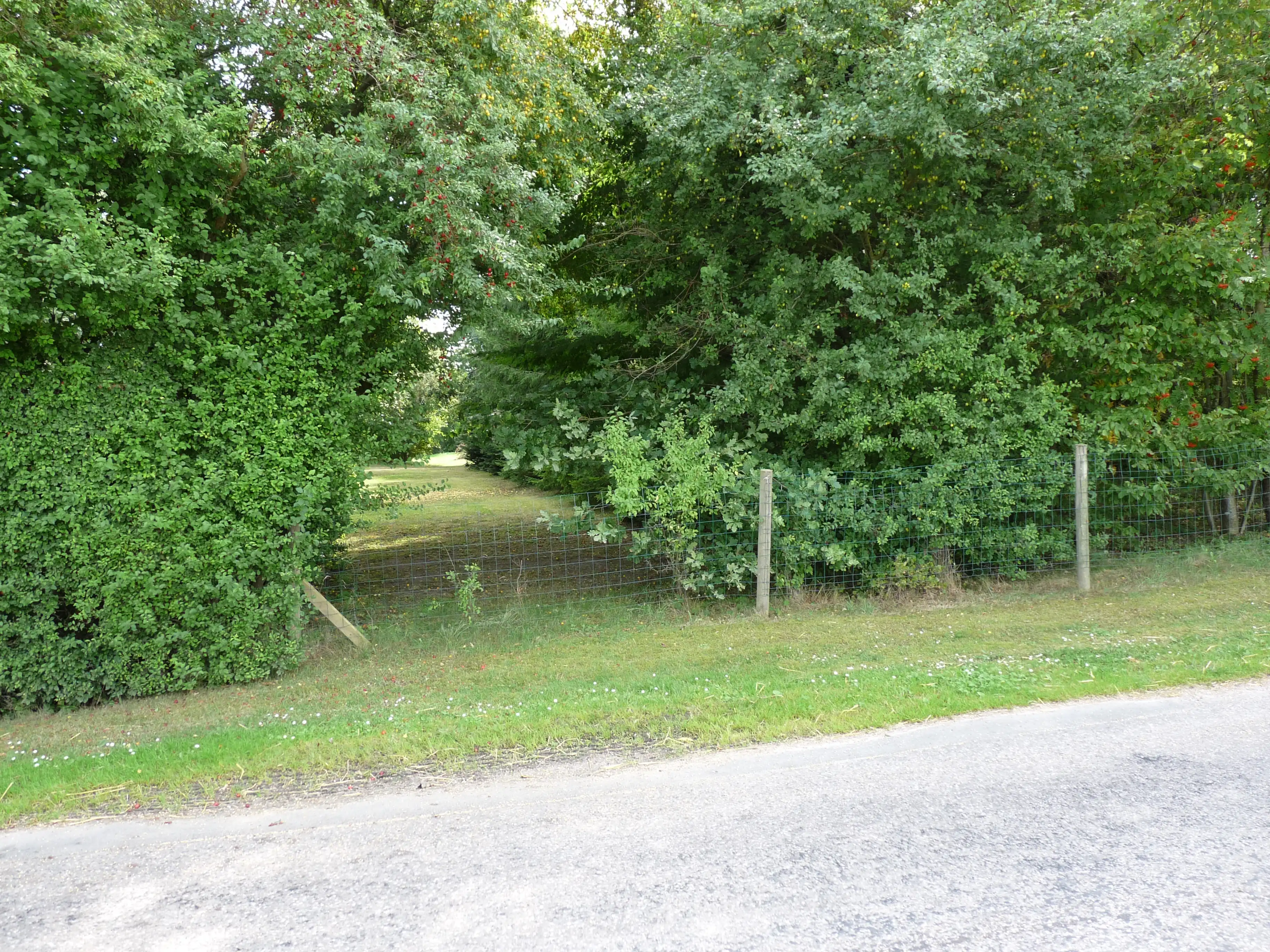 Billede af Snaremose Trinbræt - Trinbræt er nedrevet, men Snaremose Trinbræt har ligget her. Billede af Snaremose Trinbræt - Trinbræt er nedrevet, men Snaremose Trinbræt har ligget her.