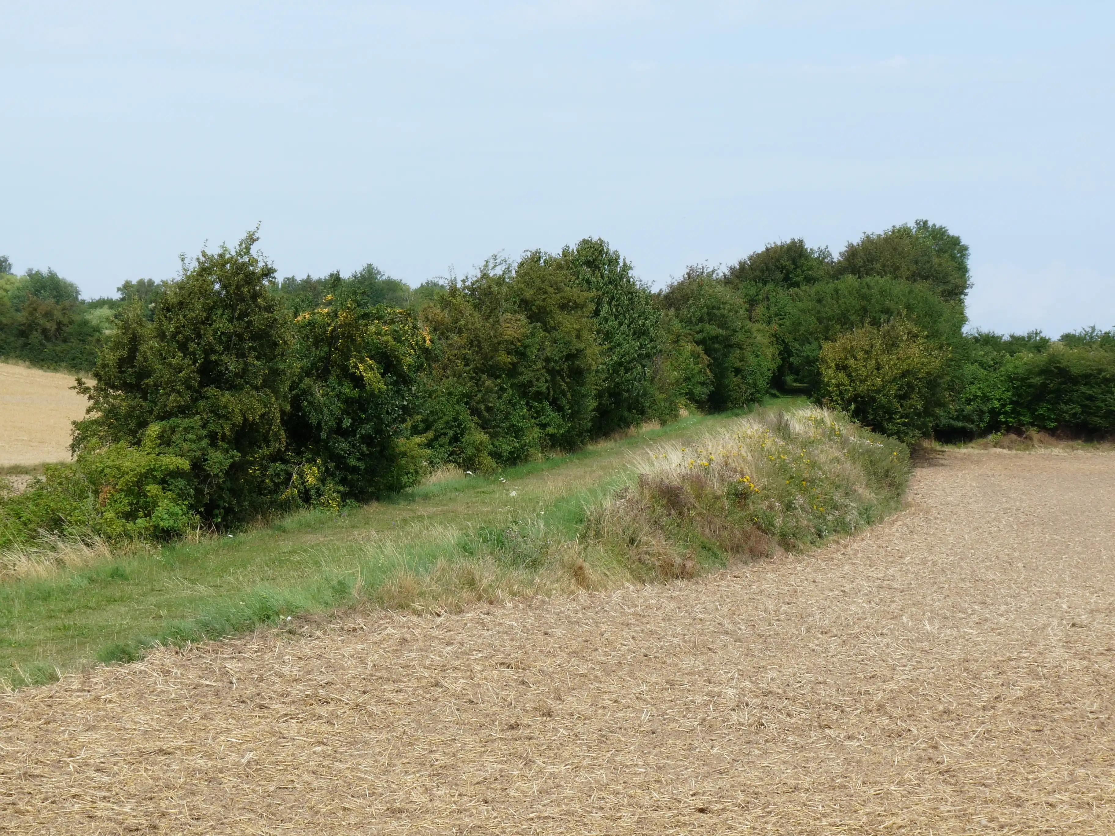 Billede af Haugbølle Trinbræt - Trinbræt er nedrevet, men Haugbølle Trinbræt har ligget her. Billede af Haugbølle Trinbræt - Trinbræt er nedrevet, men Haugbølle Trinbræt har ligget her.