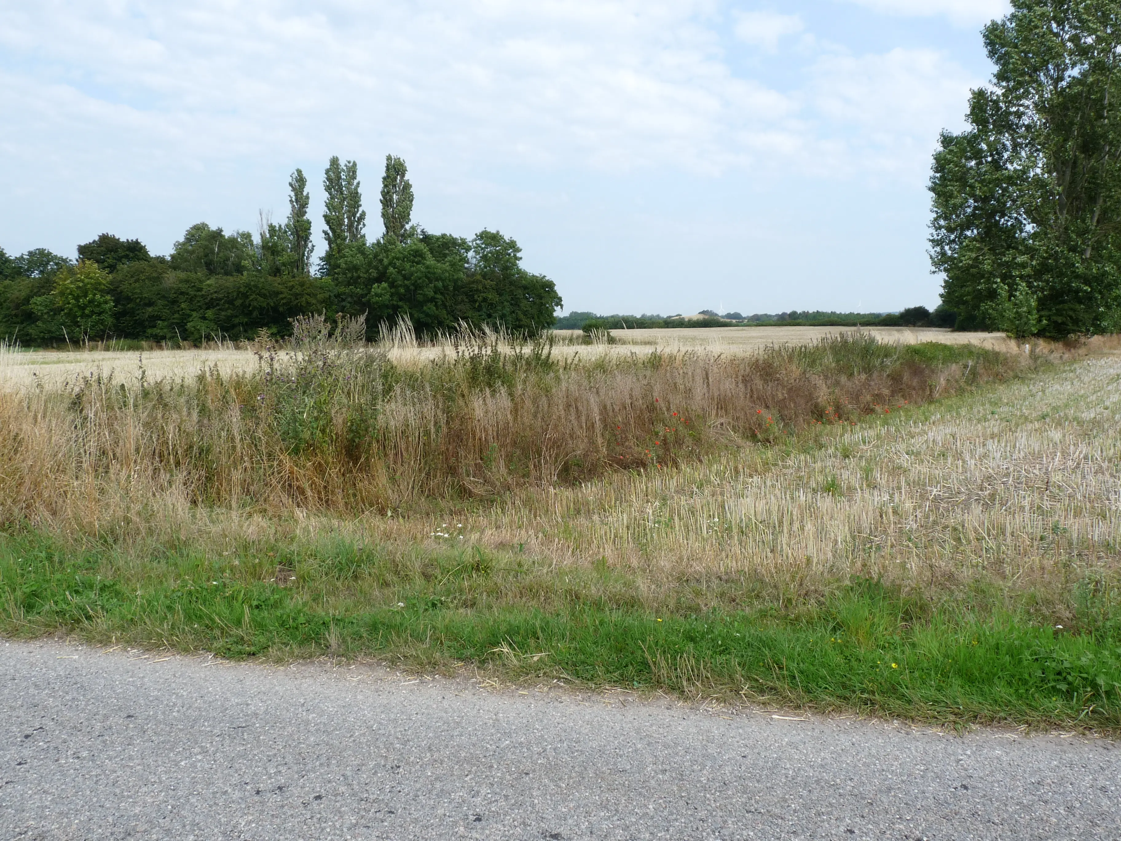 Billede af Røjlevejen Trinbræt - Trinbræt er nedrevet, men Røjlevejen Trinbræt har ligget her. Billede af Røjlevejen Trinbræt - Trinbræt er nedrevet, men Røjlevejen Trinbræt har ligget her.