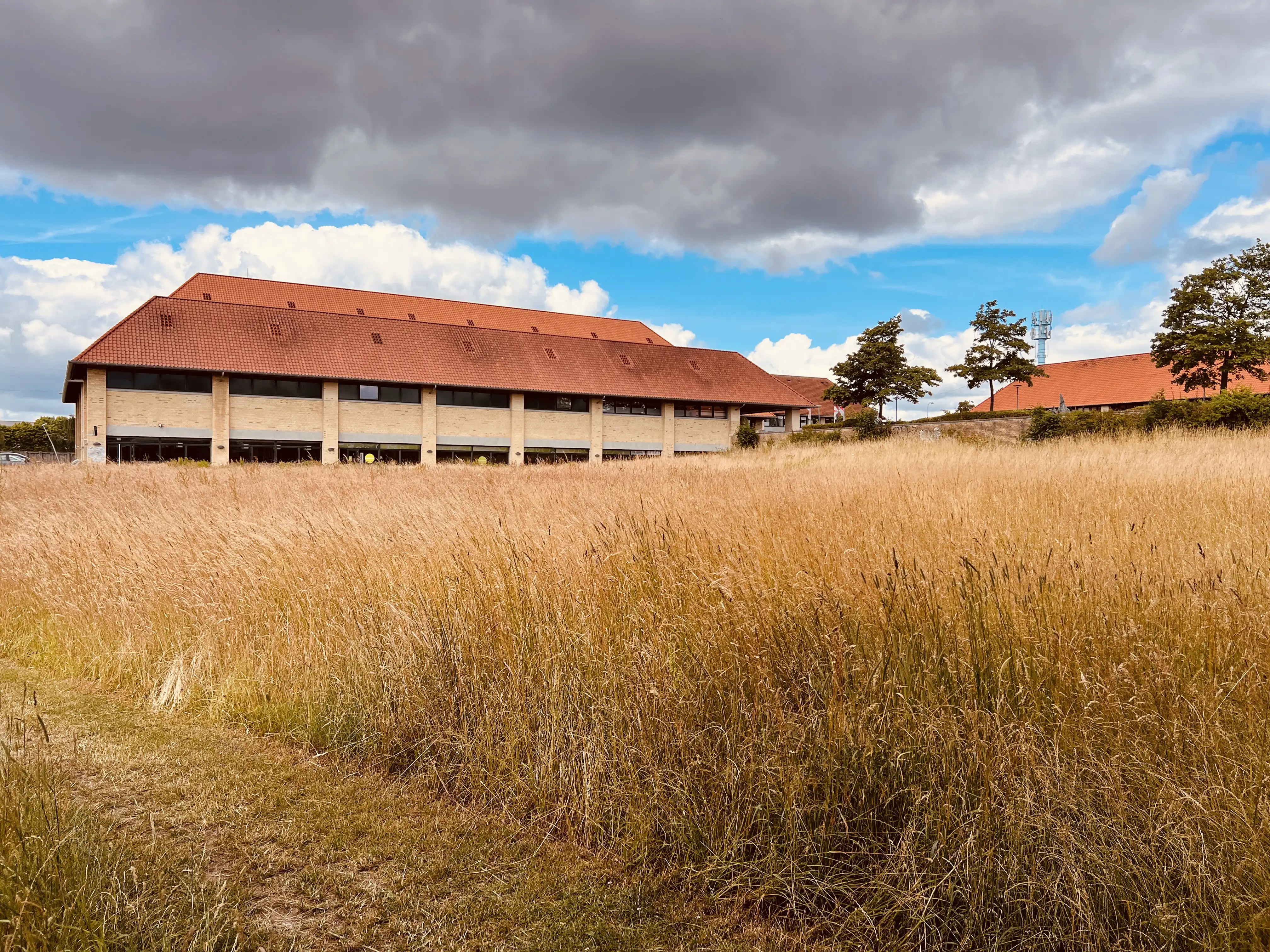 Billede af Egevang Trinbræt - Trinbræt er nedrevet, men Egevang Trinbræt har ligget her.