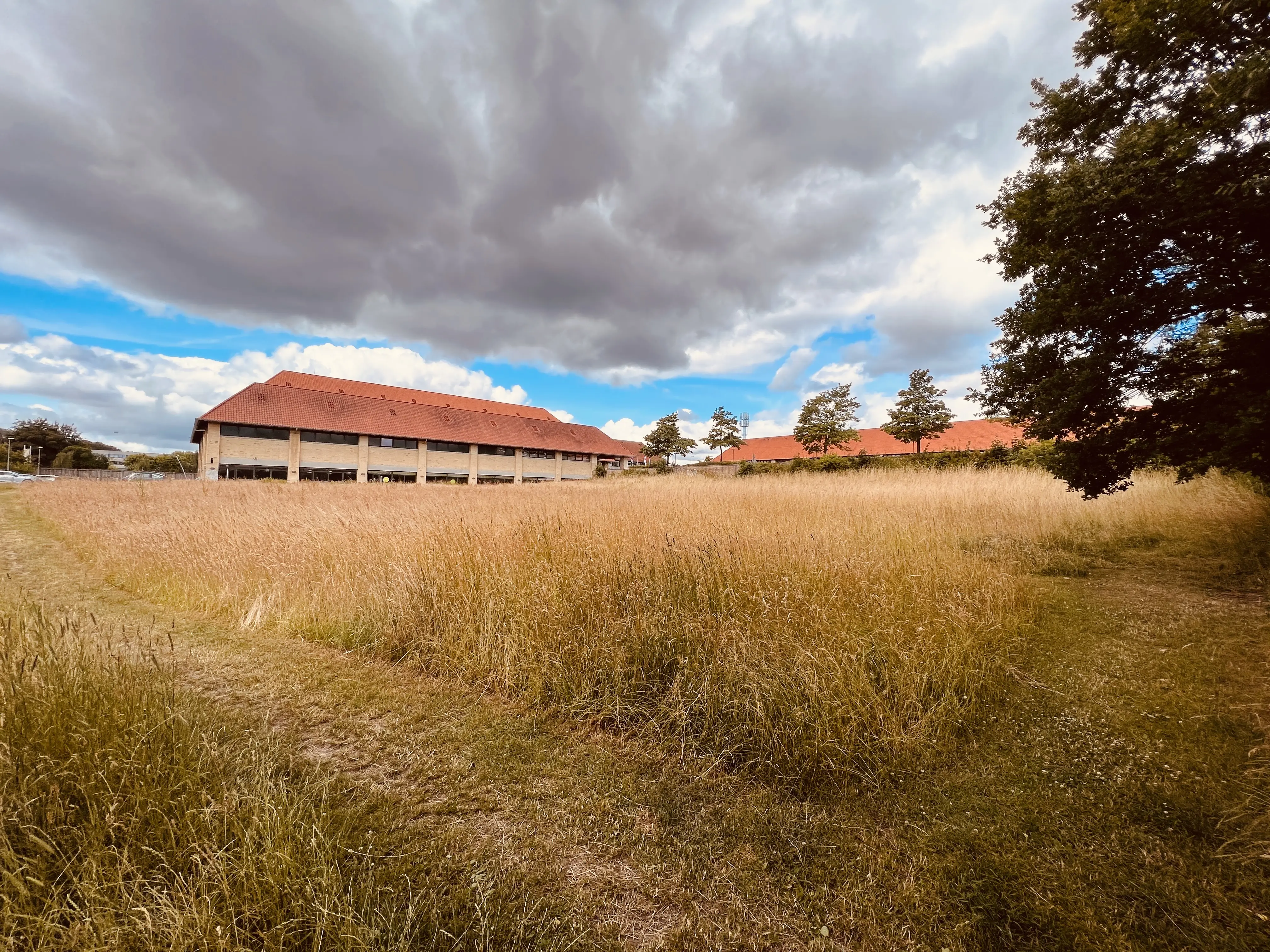 Billede af Egevang Trinbræt - Trinbræt er nedrevet, men Egevang Trinbræt har ligget her. Billede af Egevang Trinbræt - Trinbræt er nedrevet, men Egevang Trinbræt har ligget her.