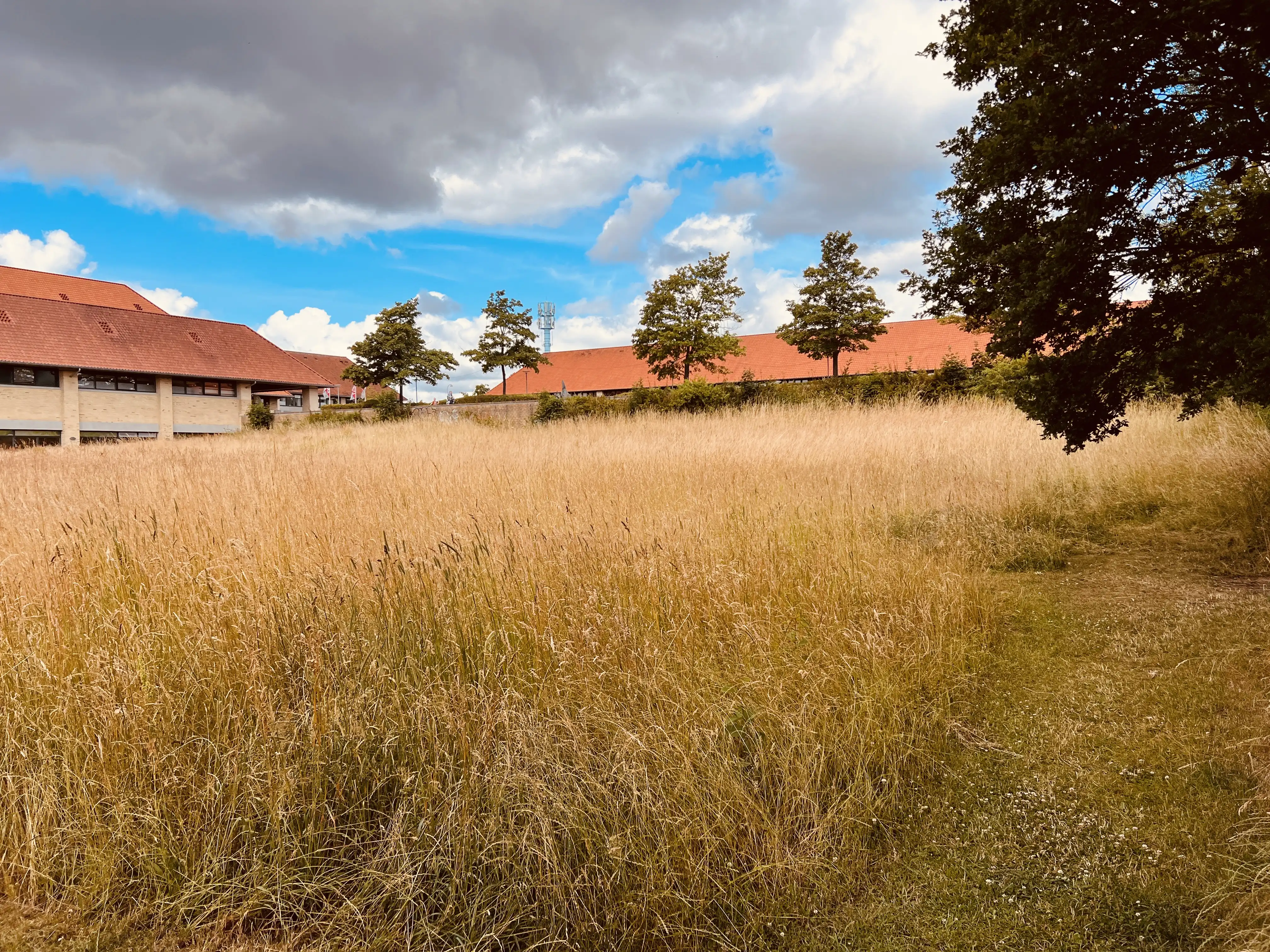 Billede af Egevang Trinbræt - Trinbræt er nedrevet, men Egevang Trinbræt har ligget her. Billede af Egevang Trinbræt - Trinbræt er nedrevet, men Egevang Trinbræt har ligget her.