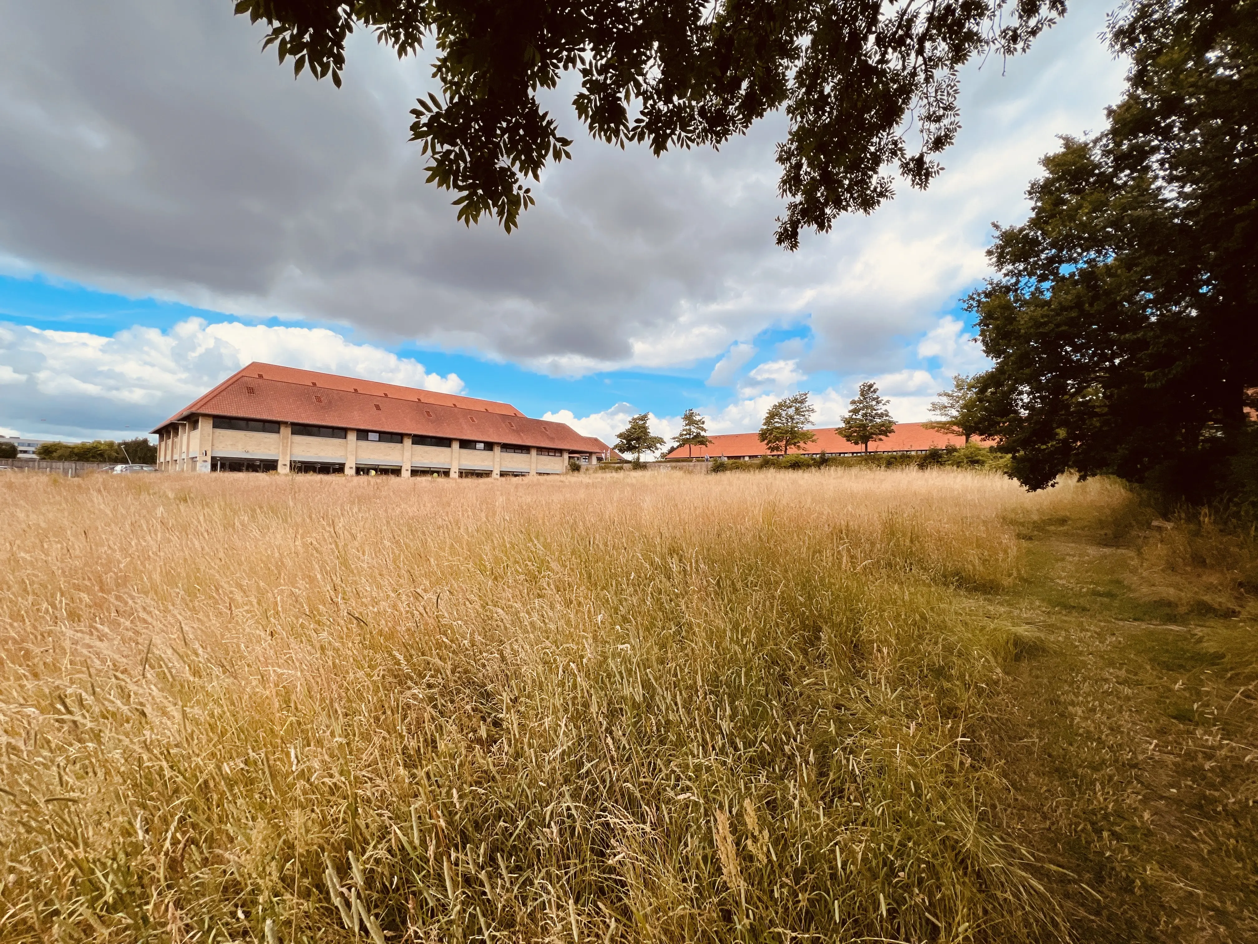 Billede af Egevang Trinbræt - Trinbræt er nedrevet, men Egevang Trinbræt har ligget her. Billede af Egevang Trinbræt - Trinbræt er nedrevet, men Egevang Trinbræt har ligget her.