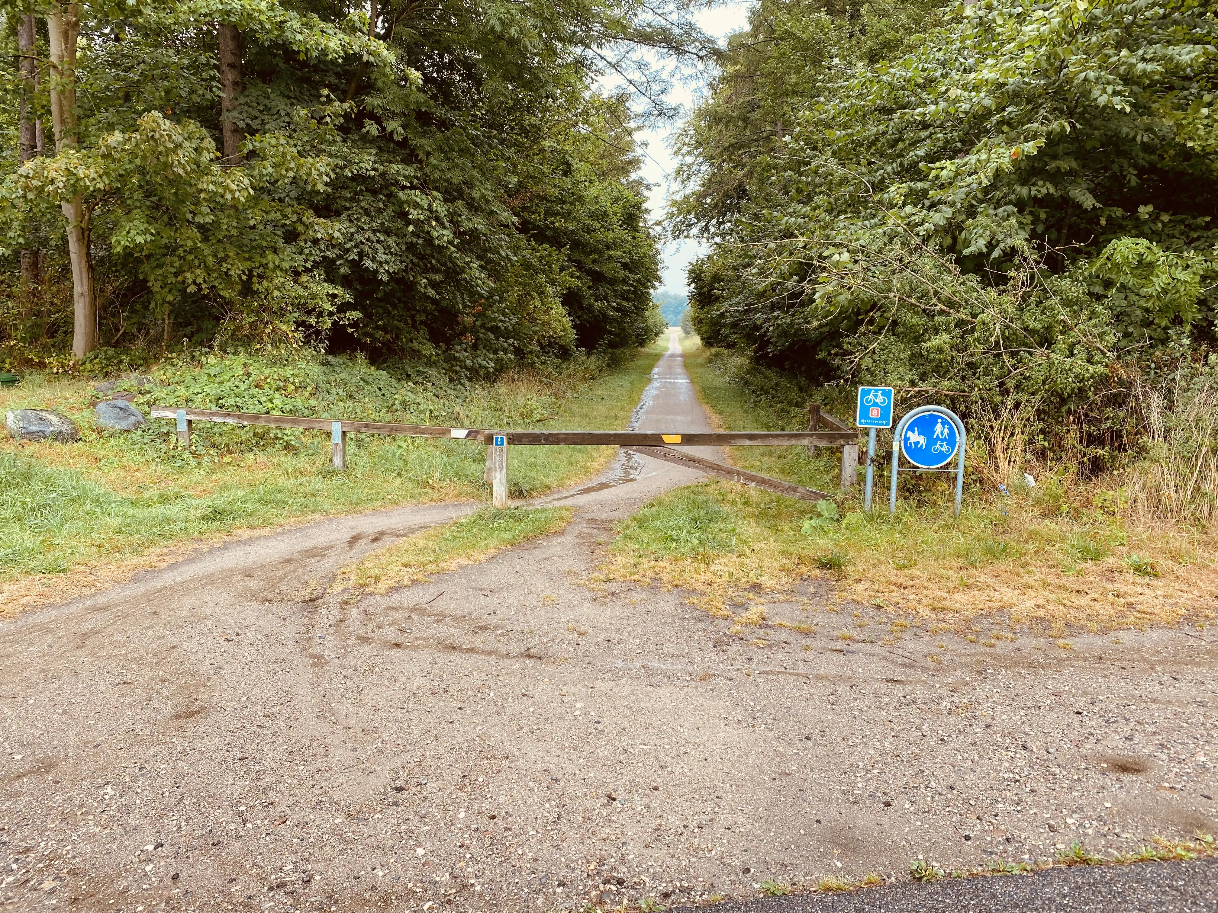 Billede af Vintersbølle Trinbræt - Trinbræt er nedrevet, men Vintersbølle Trinbræt har ligget her. Billede af Vintersbølle Trinbræt - Trinbræt er nedrevet, men Vintersbølle Trinbræt har ligget her.