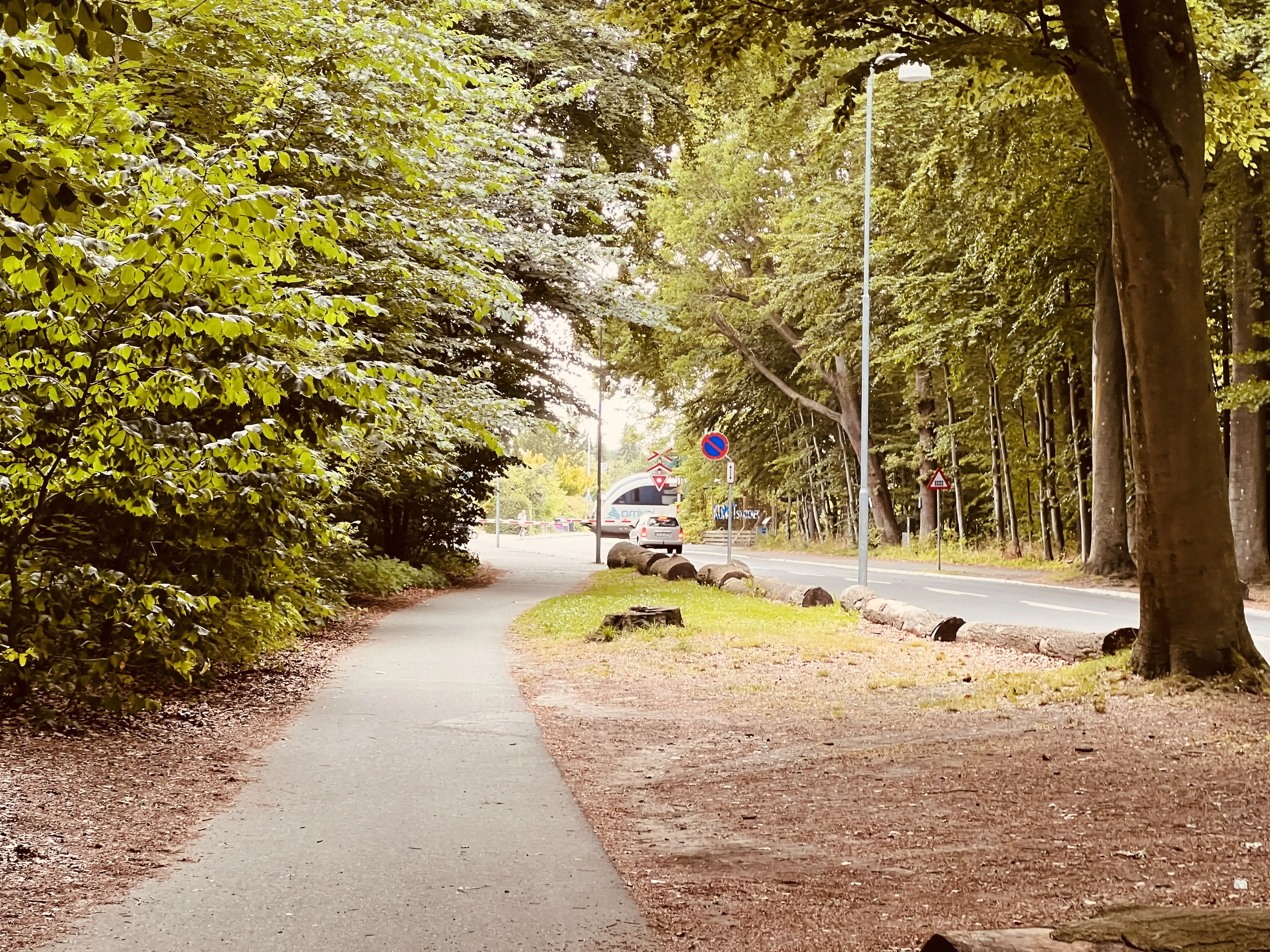 Billede af tog ud for Fruens Bøge Station. Billede af tog ud for Fruens Bøge Station.