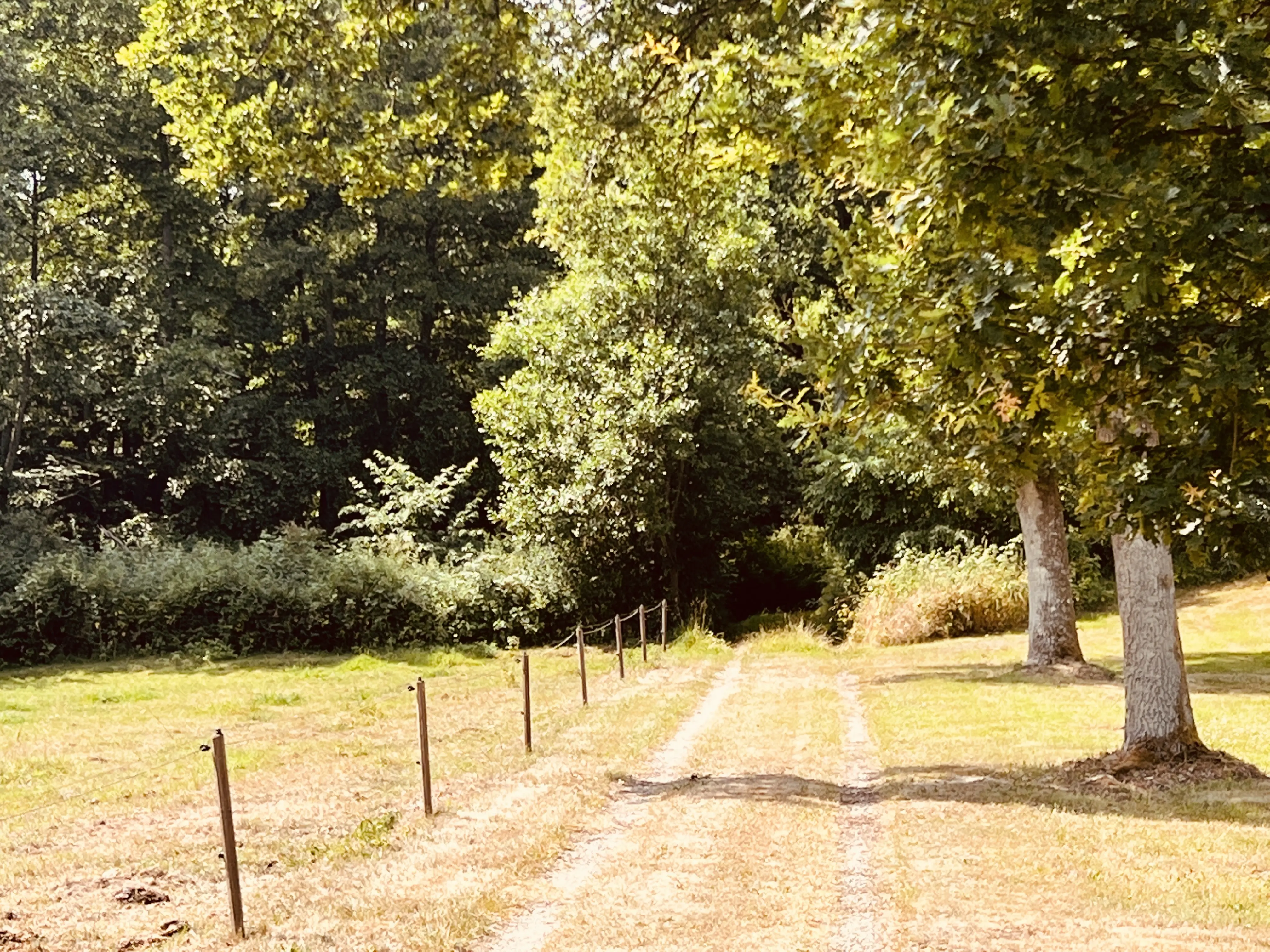Billede af Roligheden Trinbræt - Trinbræt er nedrevet, men Roligheden Trinbræt har ligget her. Billede af Roligheden Trinbræt - Trinbræt er nedrevet, men Roligheden Trinbræt har ligget her.