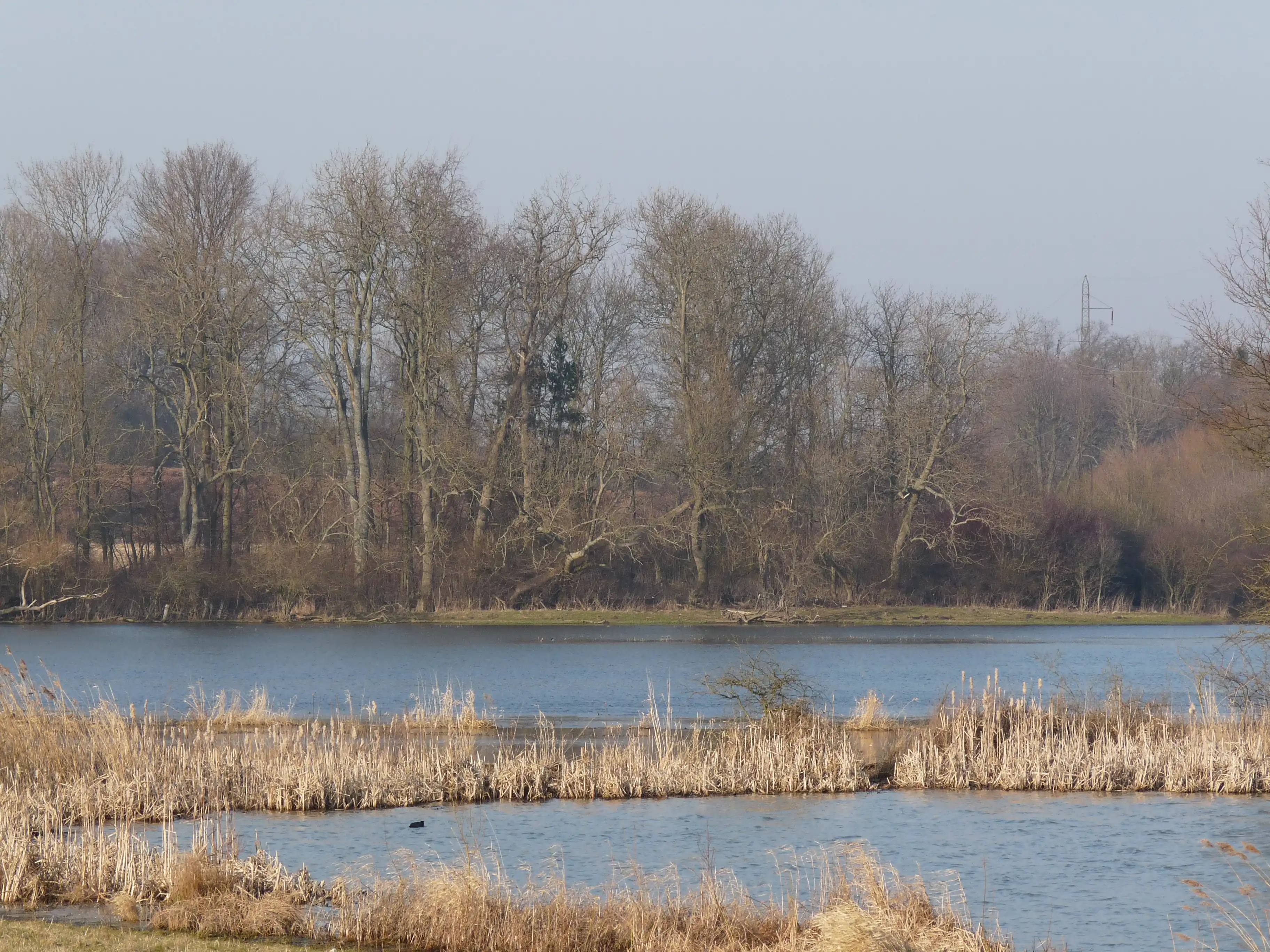 Billede af Aasen Trinbræt - Trinbræt er nedrevet, men Aasen Trinbræt har ligget her. Billede af Aasen Trinbræt - Trinbræt er nedrevet, men Aasen Trinbræt har ligget her.