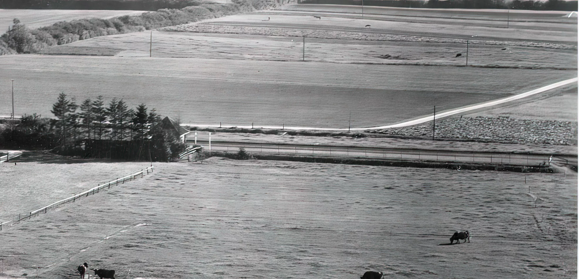 Billede af Yderholm Trinbræt- ventebygningen kan lige skimtes mellem træerne til venstre i billedet. Billede af Yderholm Trinbræt- ventebygningen kan lige skimtes mellem træerne til venstre i billedet.