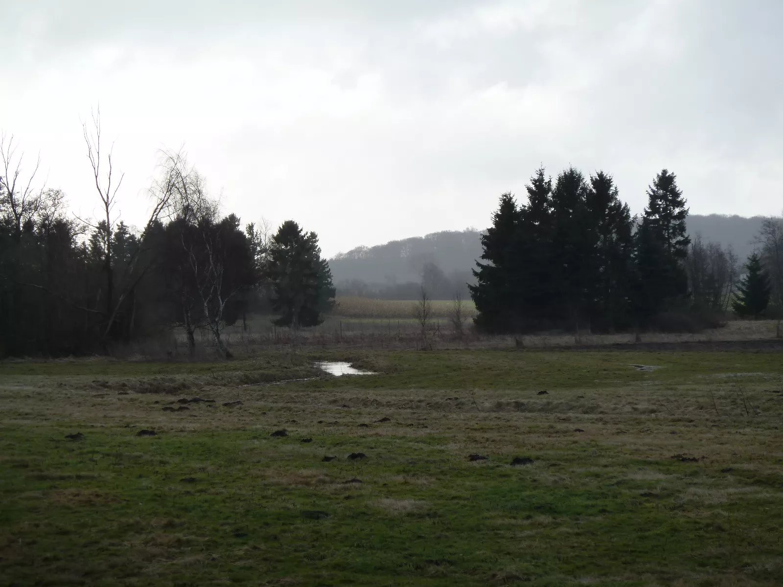 Billede af Enghave (KRB) Trinbræt - Trinbræt er nedrevet, men Enghave (KRB) Trinbræt har ligget her. Billede af Enghave (KRB) Trinbræt - Trinbræt er nedrevet, men Enghave (KRB) Trinbræt har ligget her.