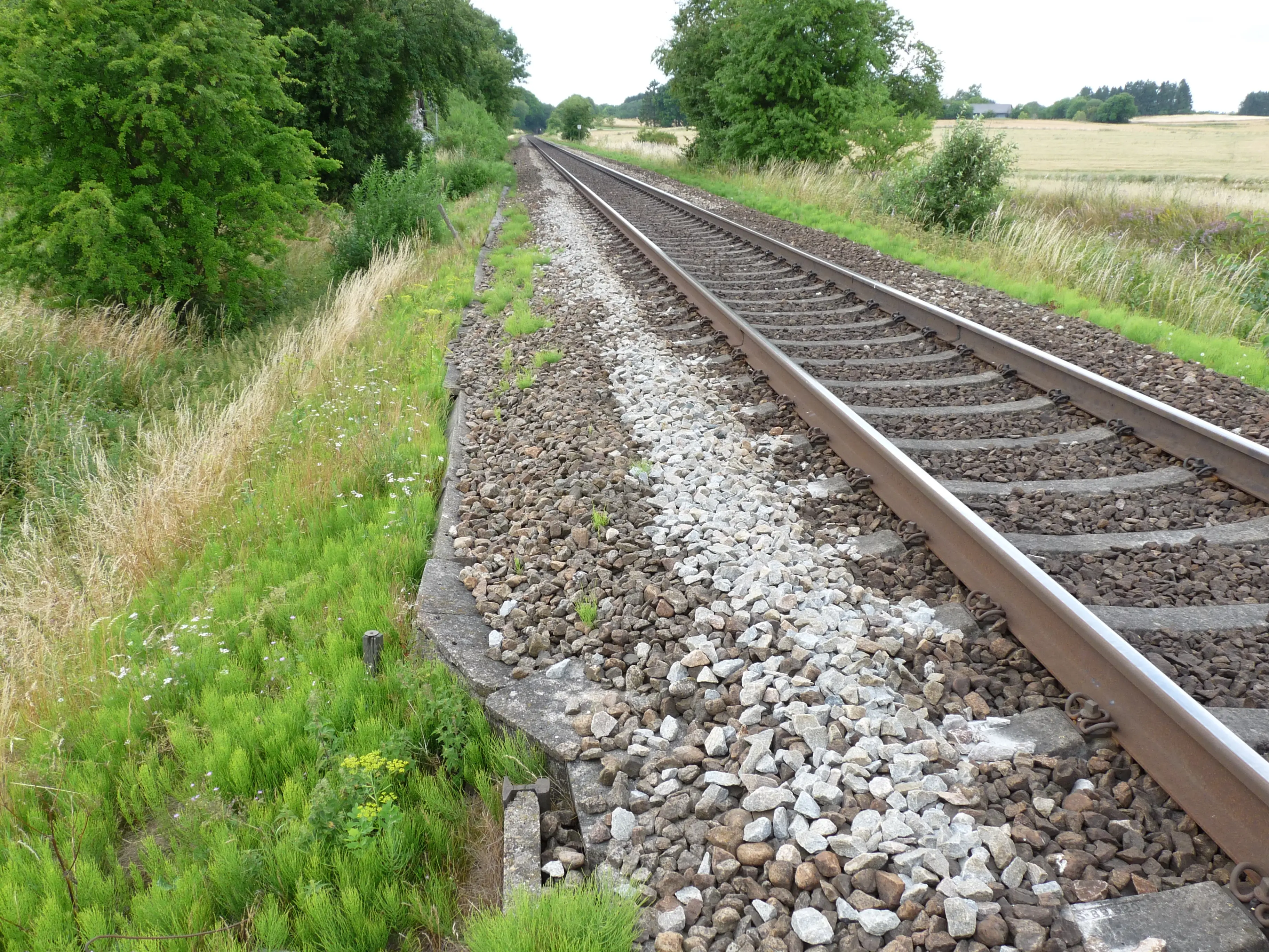 Billede af Kisserup Trinbræt - Trinbræt er nedrevet, men Kisserup Trinbræt har ligget her. Billede af Kisserup Trinbræt - Trinbræt er nedrevet, men Kisserup Trinbræt har ligget her.