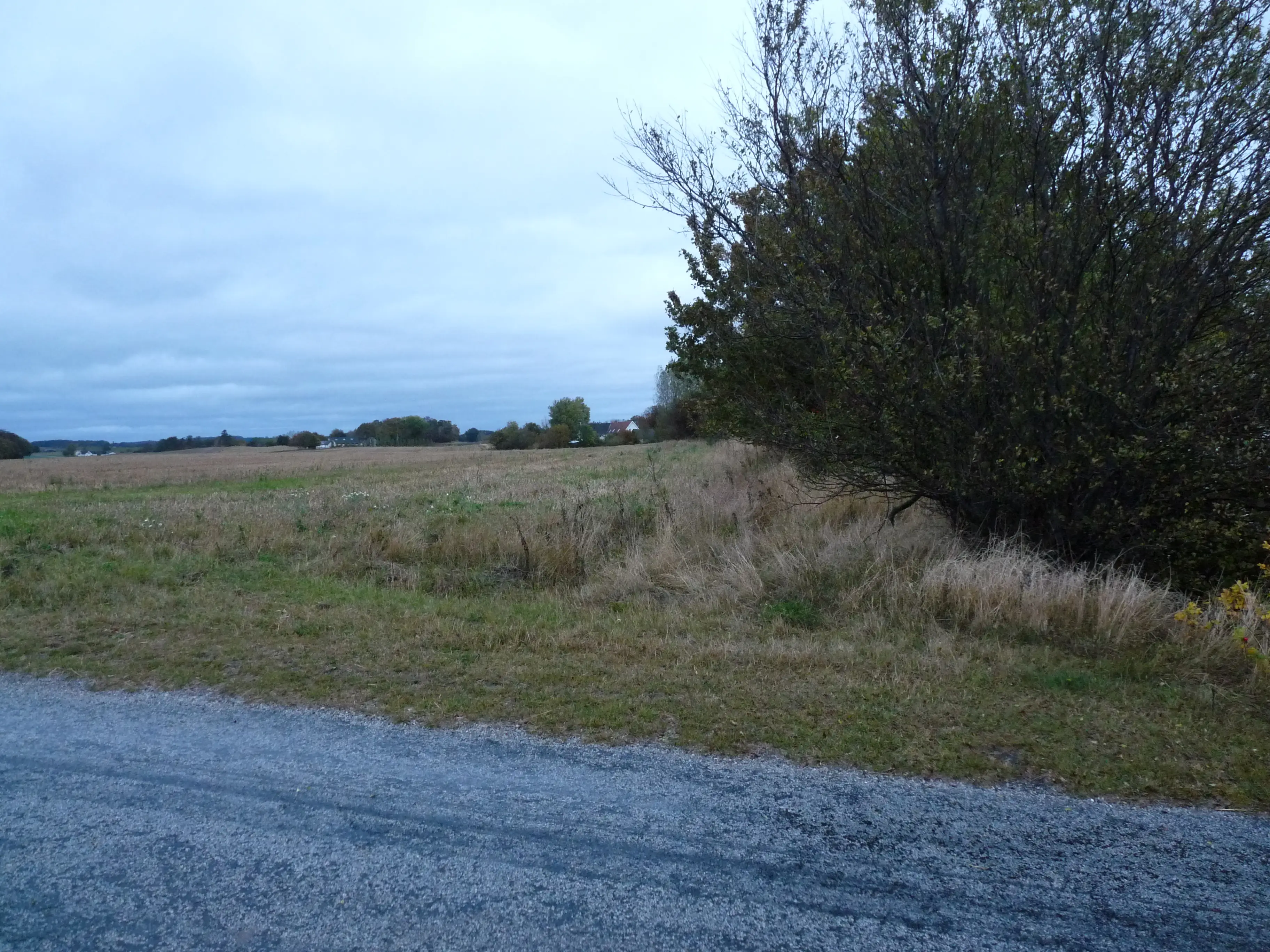 Billede af Biltris Trinbræt - Trinbræt er nedrevet, men Biltris Trinbræt har ligget her. Billede af Biltris Trinbræt - Trinbræt er nedrevet, men Biltris Trinbræt har ligget her.