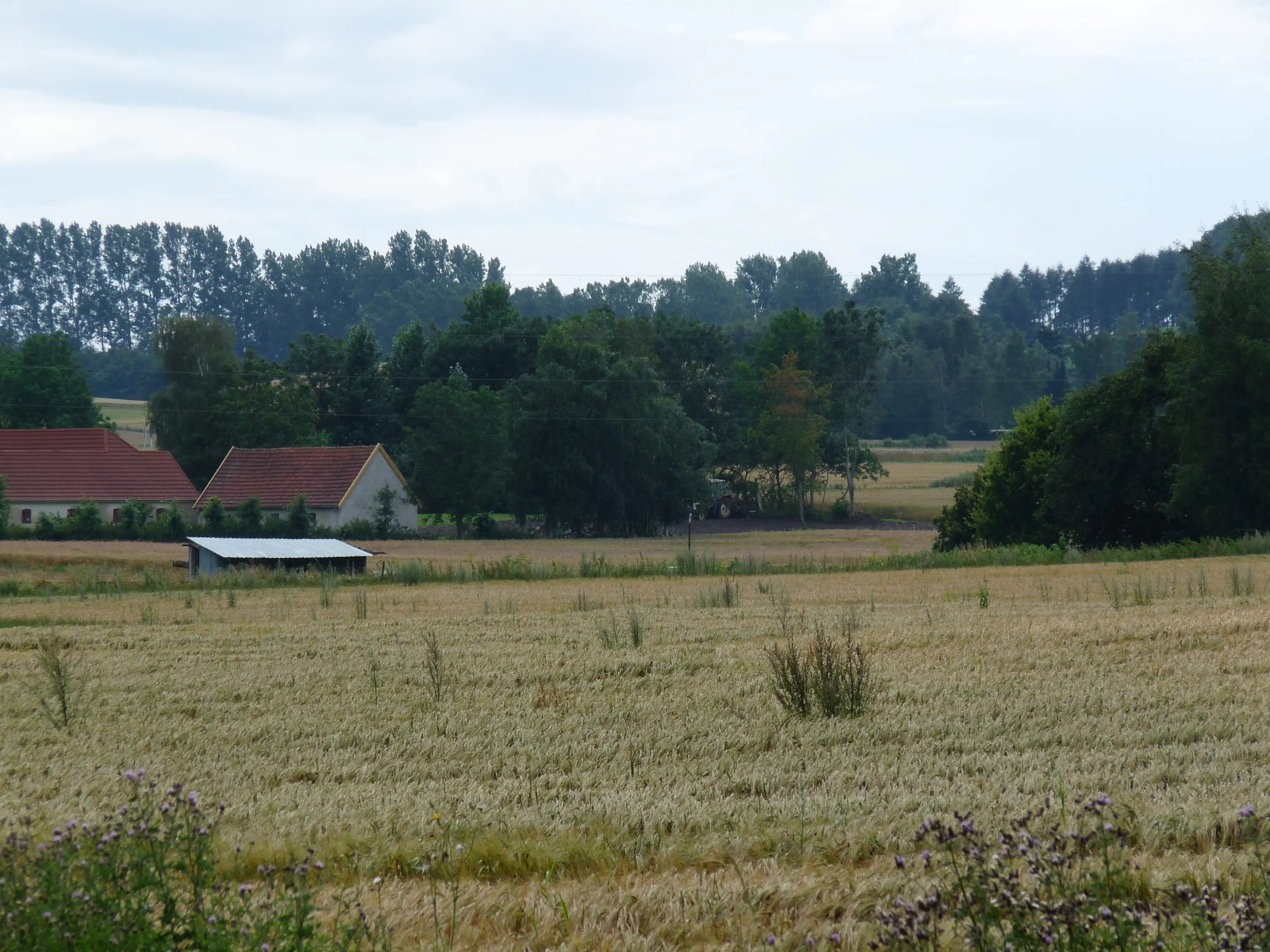 Billede af Tornved Trinbræt - Trinbræt er nedrevet, men Tornved Trinbræt har ligget her. Billede af Tornved Trinbræt - Trinbræt er nedrevet, men Tornved Trinbræt har ligget her.