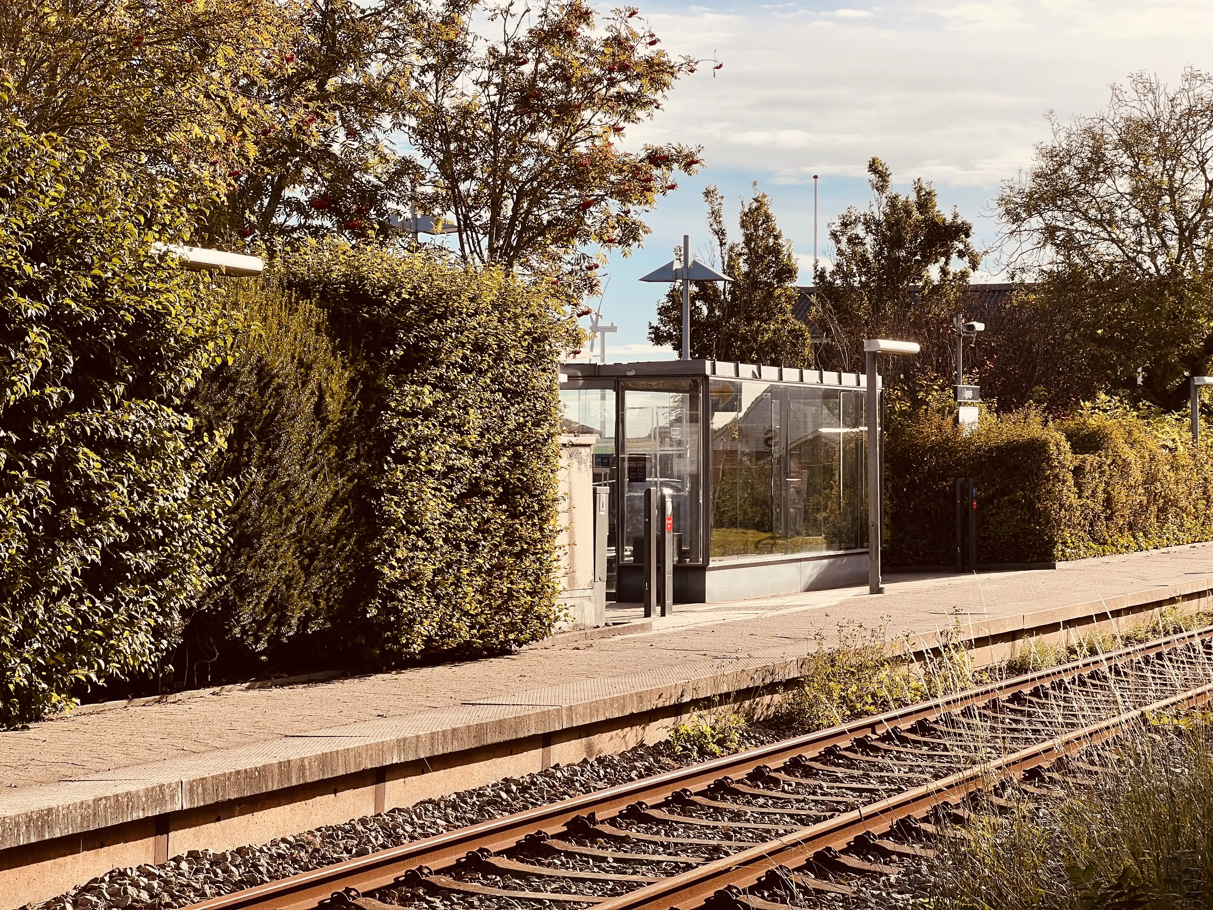 Billede af Lyngs Trinbræt.