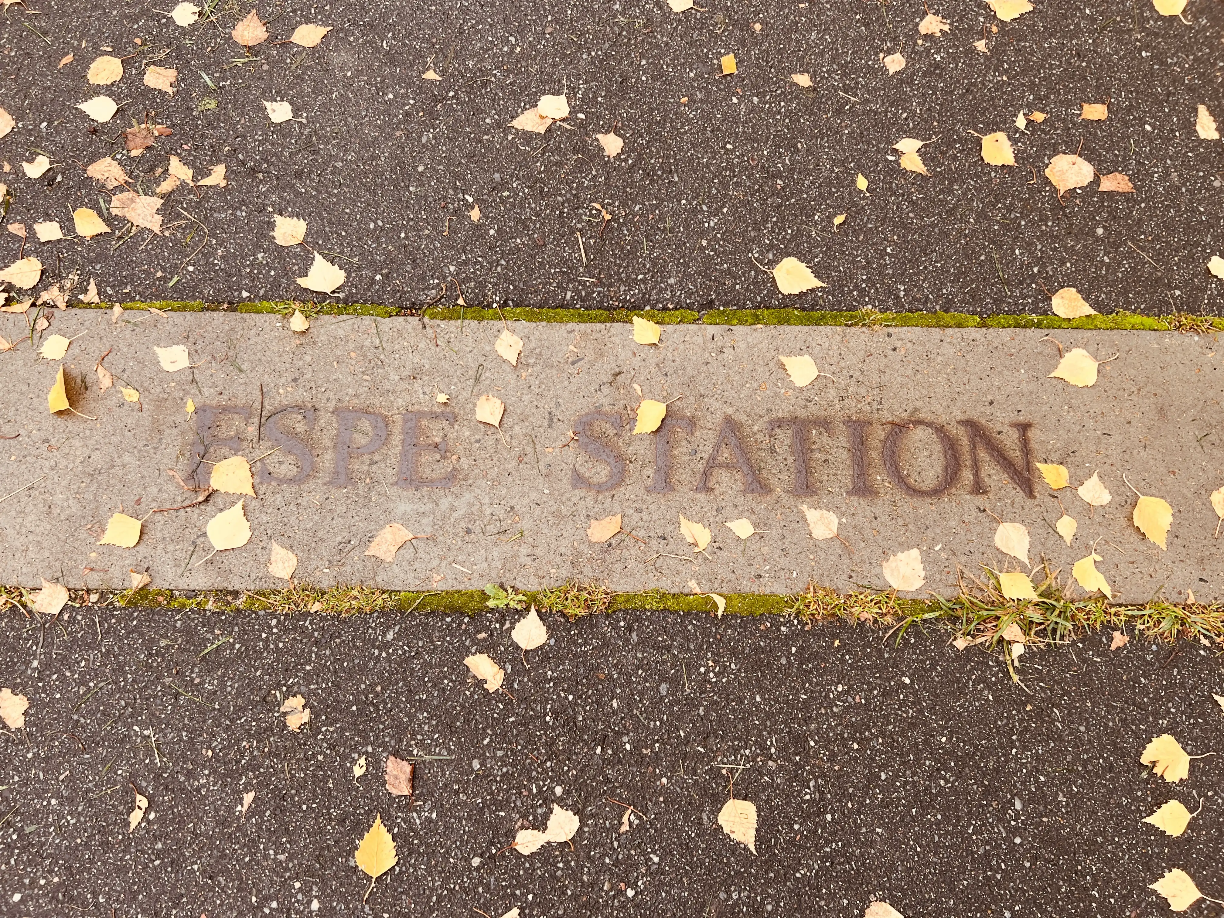 Billede af Espe Stations sporareal.