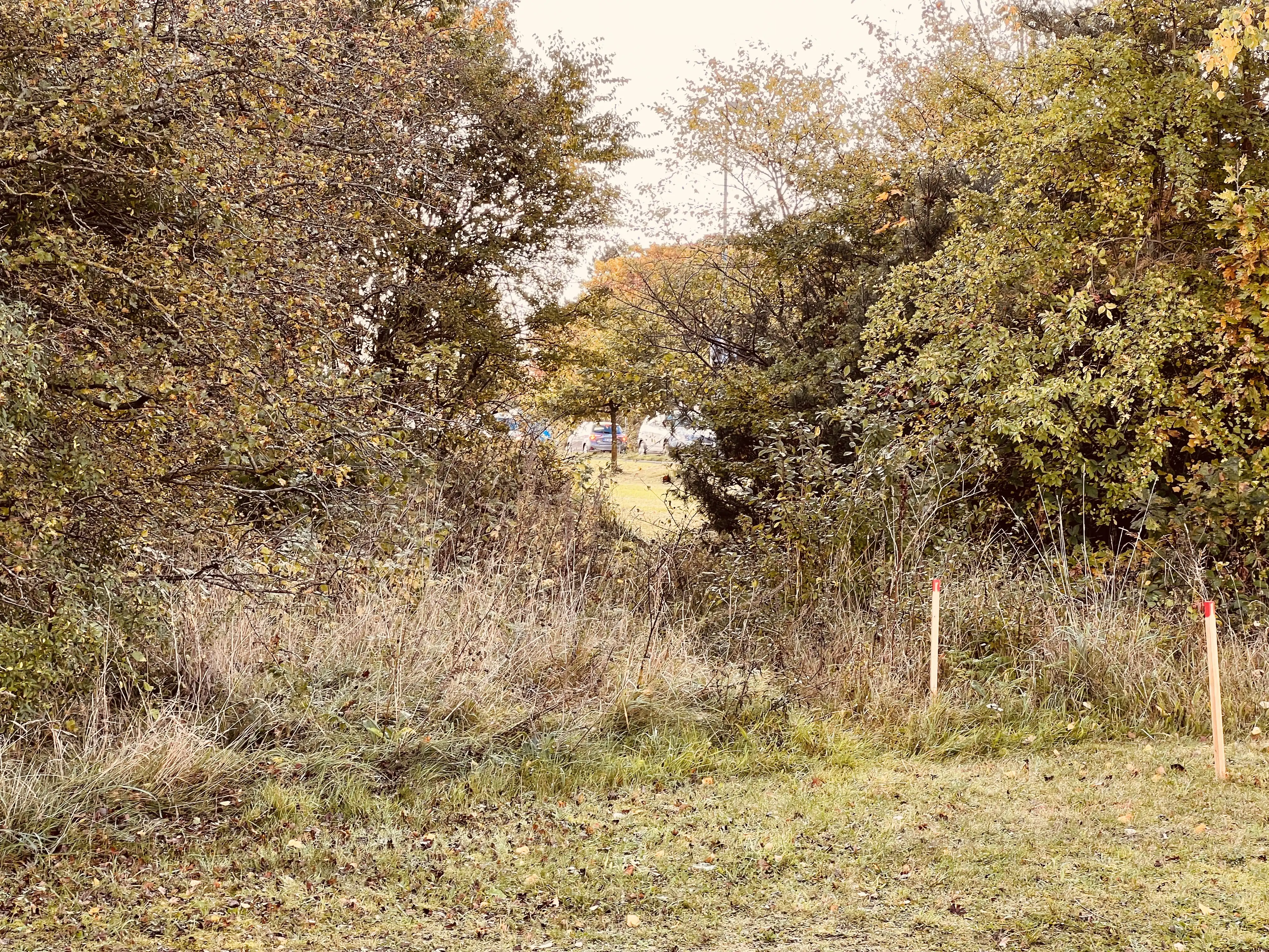 Billede af Vibæk Trinbræt - Trinbræt er nedrevet, men Vibæk Trinbræt har ligget her. Billede af Vibæk Trinbræt - Trinbræt er nedrevet, men Vibæk Trinbræt har ligget her.