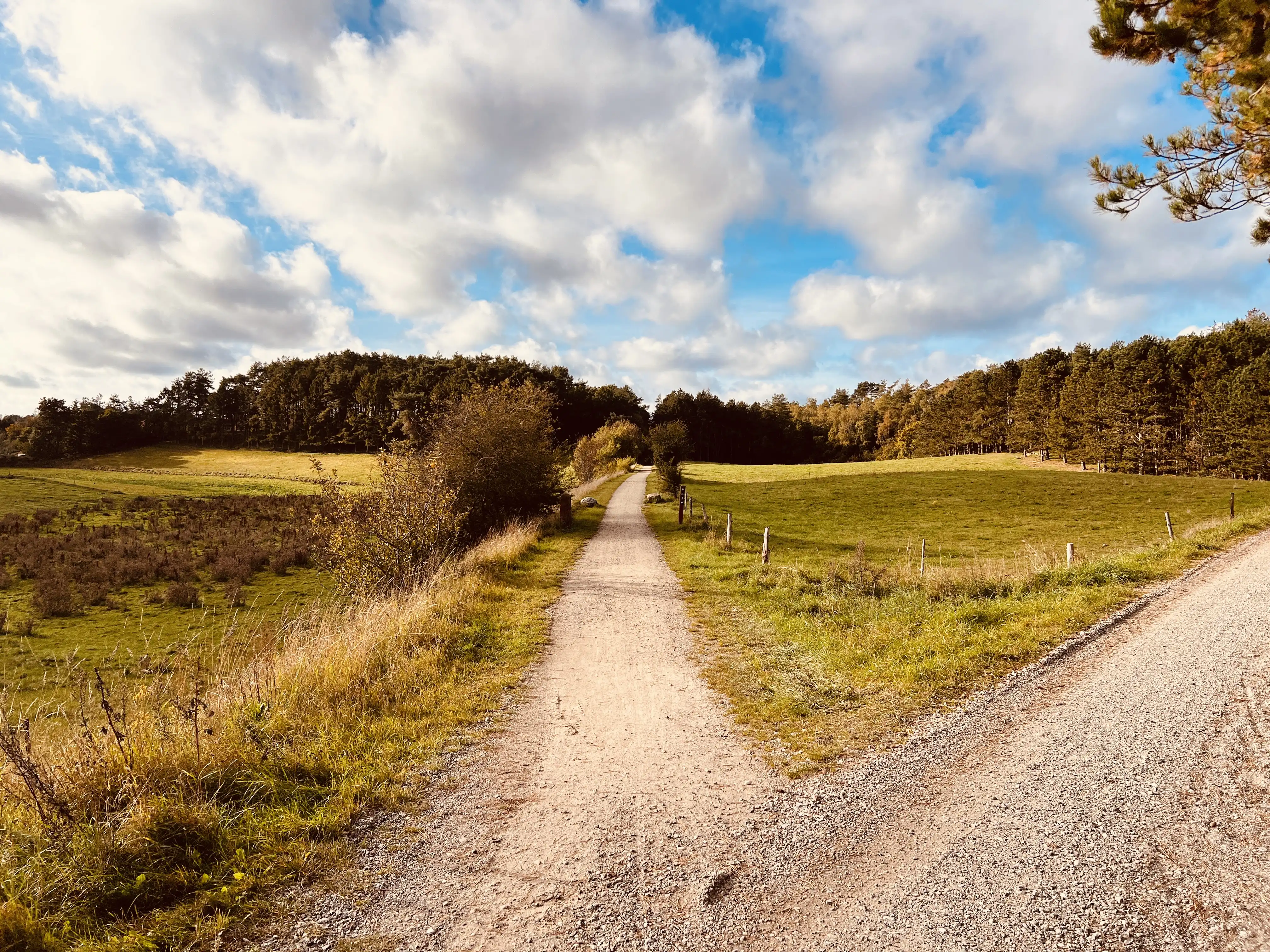 Billede af Dråby Trinbræt - Trinbræt er nedrevet, men Dråby Trinbræt har ligget her. Billede af Dråby Trinbræt - Trinbræt er nedrevet, men Dråby Trinbræt har ligget her.