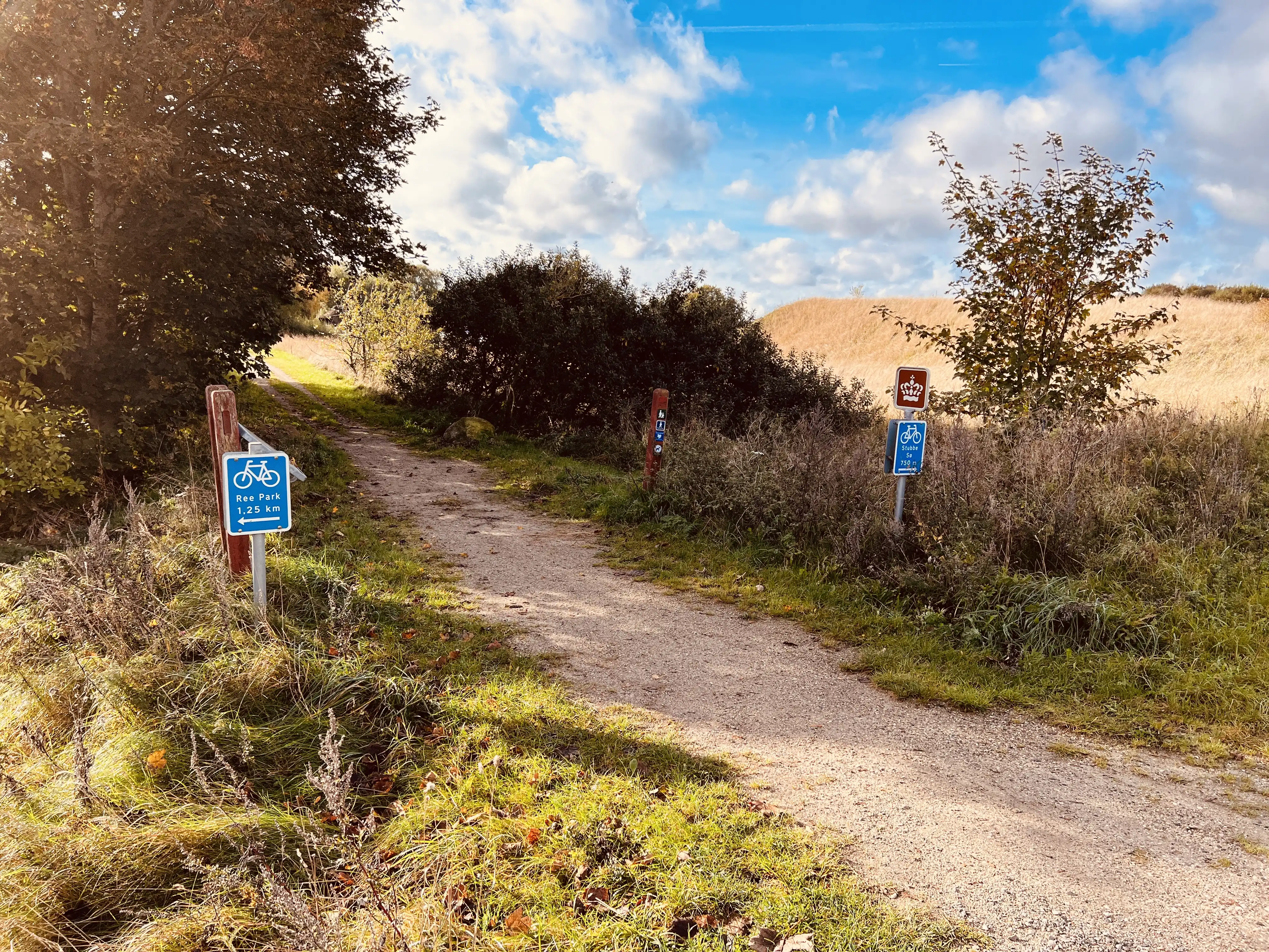 Billede af Stubbe Trinbræt - Trinbræt er nedrevet, men Stubbe Trinbræt har ligget her.
