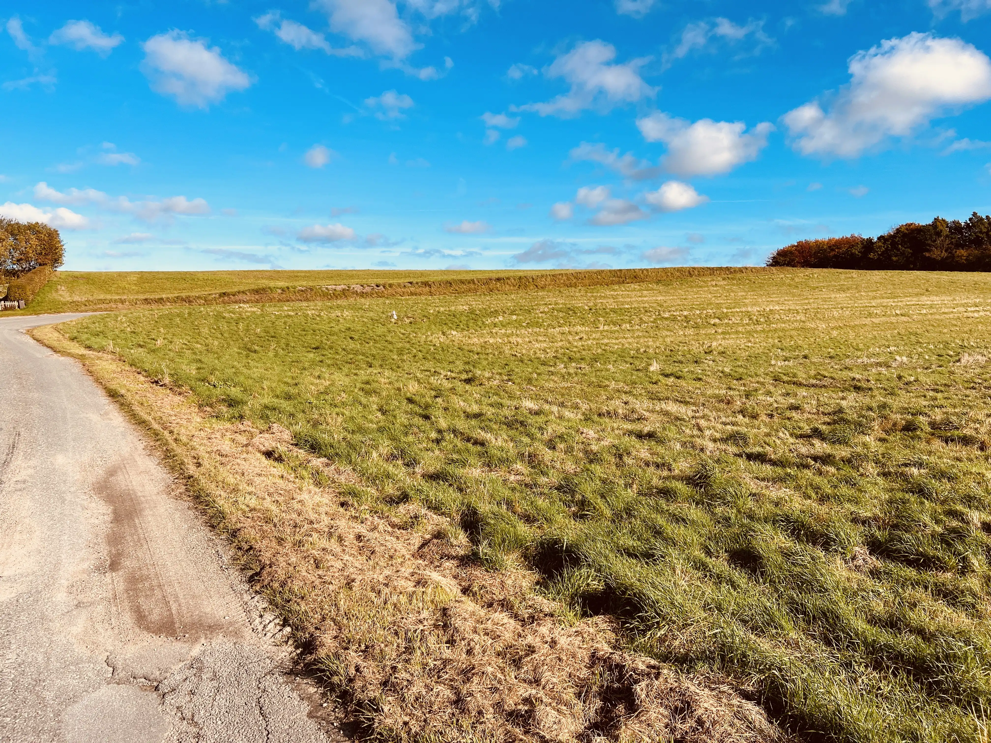 Billede af Attrup Kær Trinbræt - Trinbræt er nedrevet, men Attrup Kær Trinbræt har ligget her.