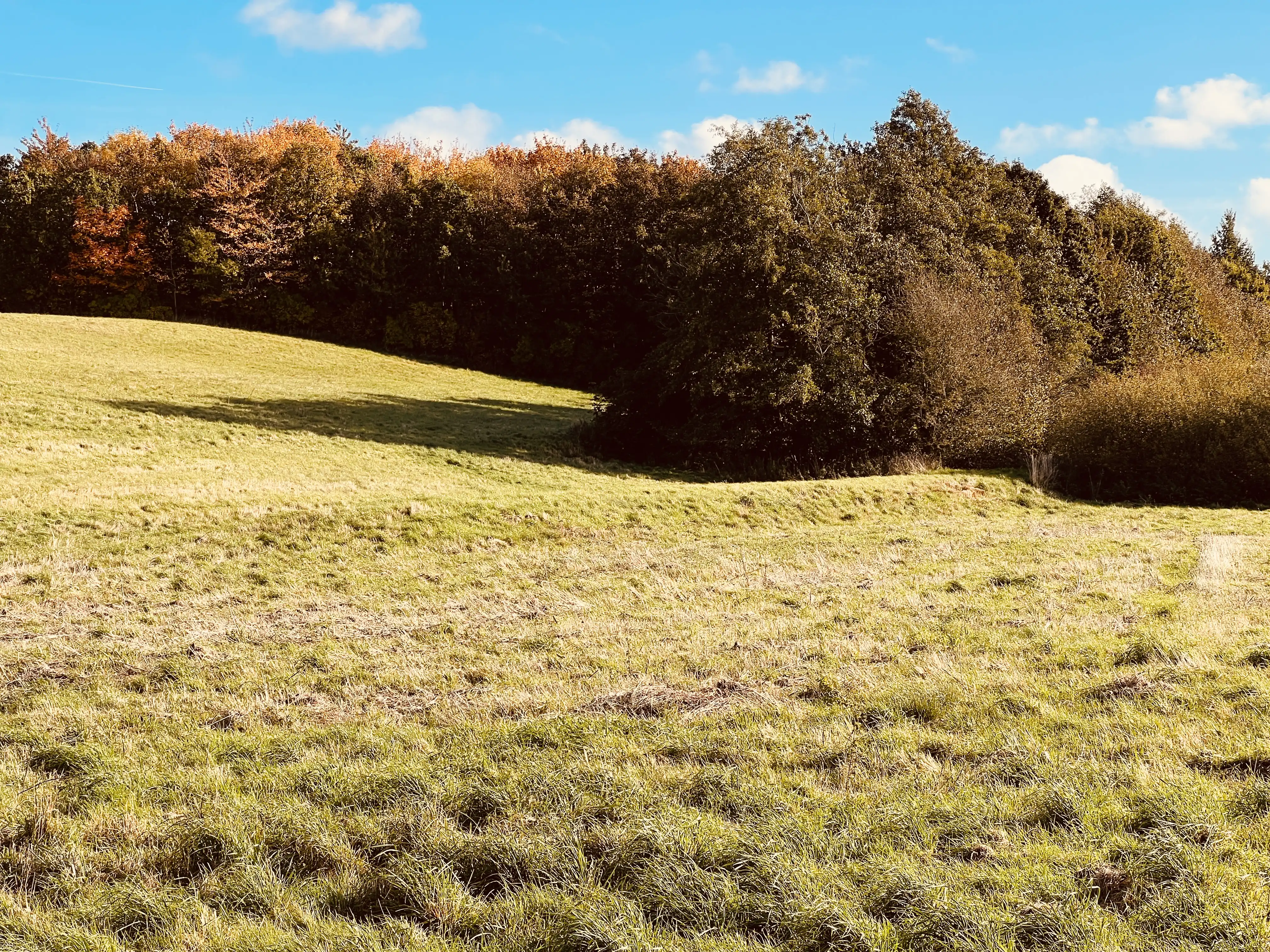 Billede af Attrup Kær Trinbræt - Trinbræt er nedrevet, men Attrup Kær Trinbræt har ligget her.