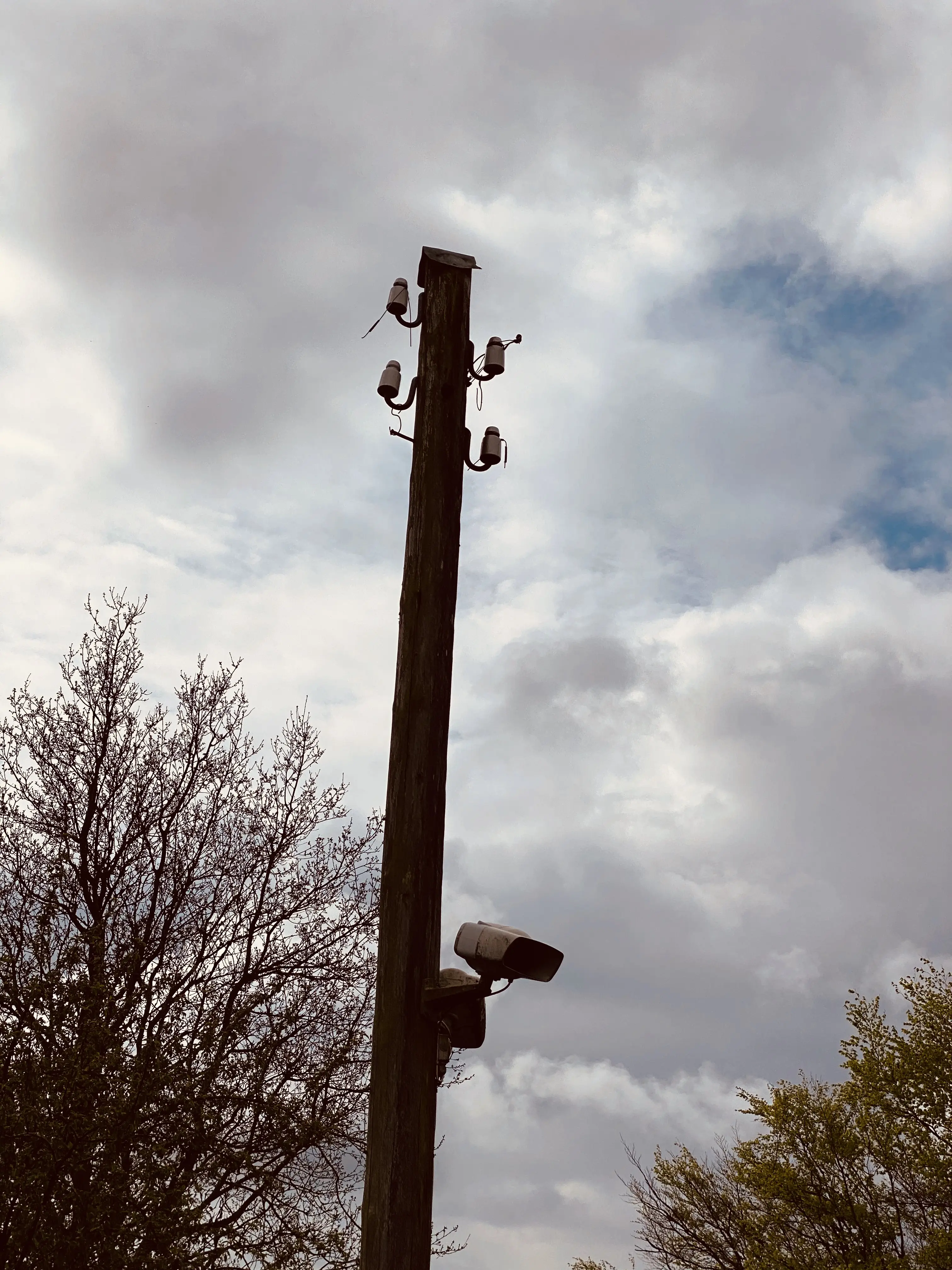 Billede af Rejsby Trinbræt med Sidespor - Eneste rest fra Rejsby Trinbræt med Sidespor er en enkelt telefonpæl fra strækningstelefonen. Billede af Rejsby Trinbræt med Sidespor - Eneste rest fra Rejsby Trinbræt med Sidespor er en enkelt telefonpæl fra strækningstelefonen.