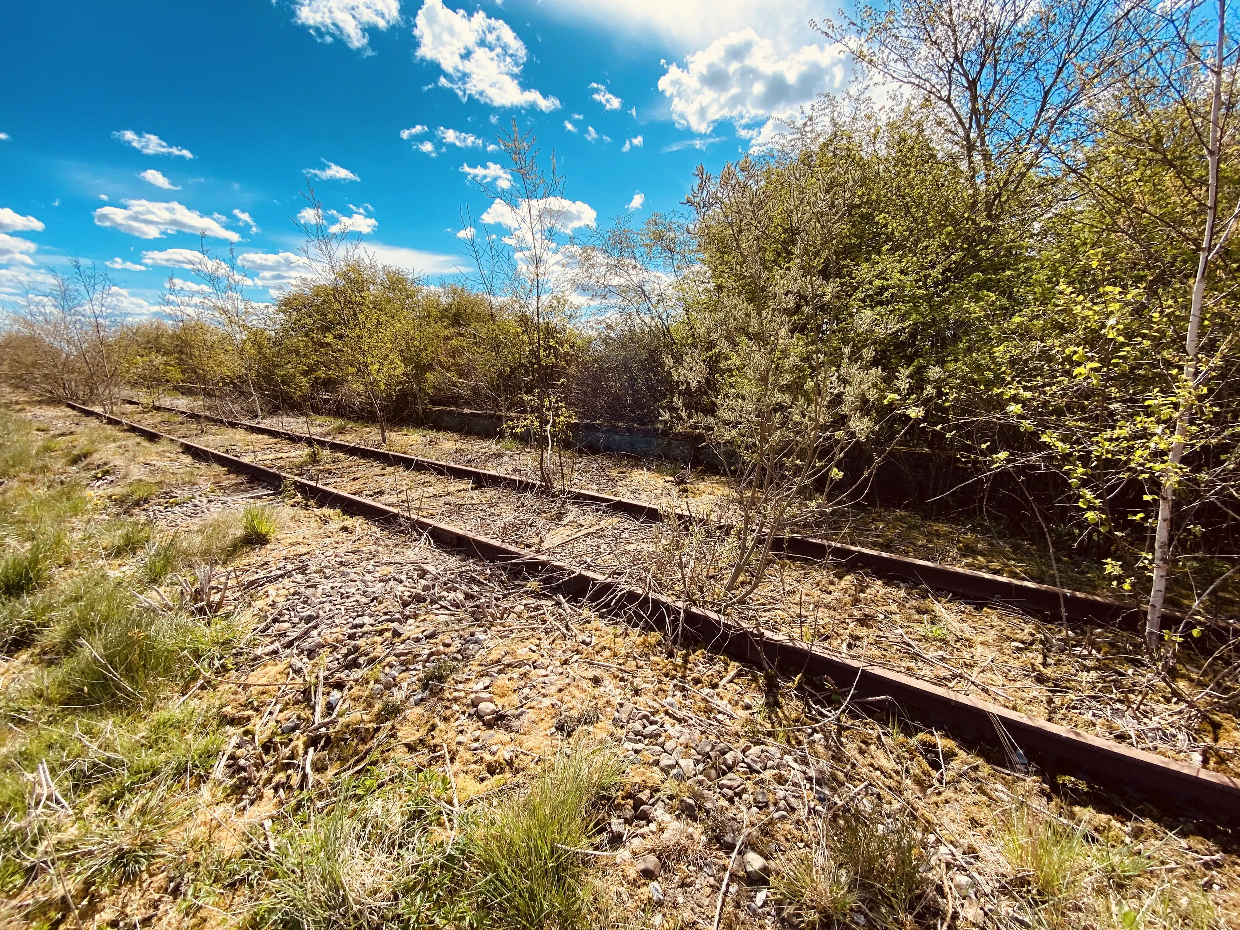 Billede af Rørkær Station uden sidespor - Station uden sidespor er nedrevet, men Rørkær Station uden sidespor har ligget her. Billede af Rørkær Station uden sidespor - Station uden sidespor er nedrevet, men Rørkær Station uden sidespor har ligget her.