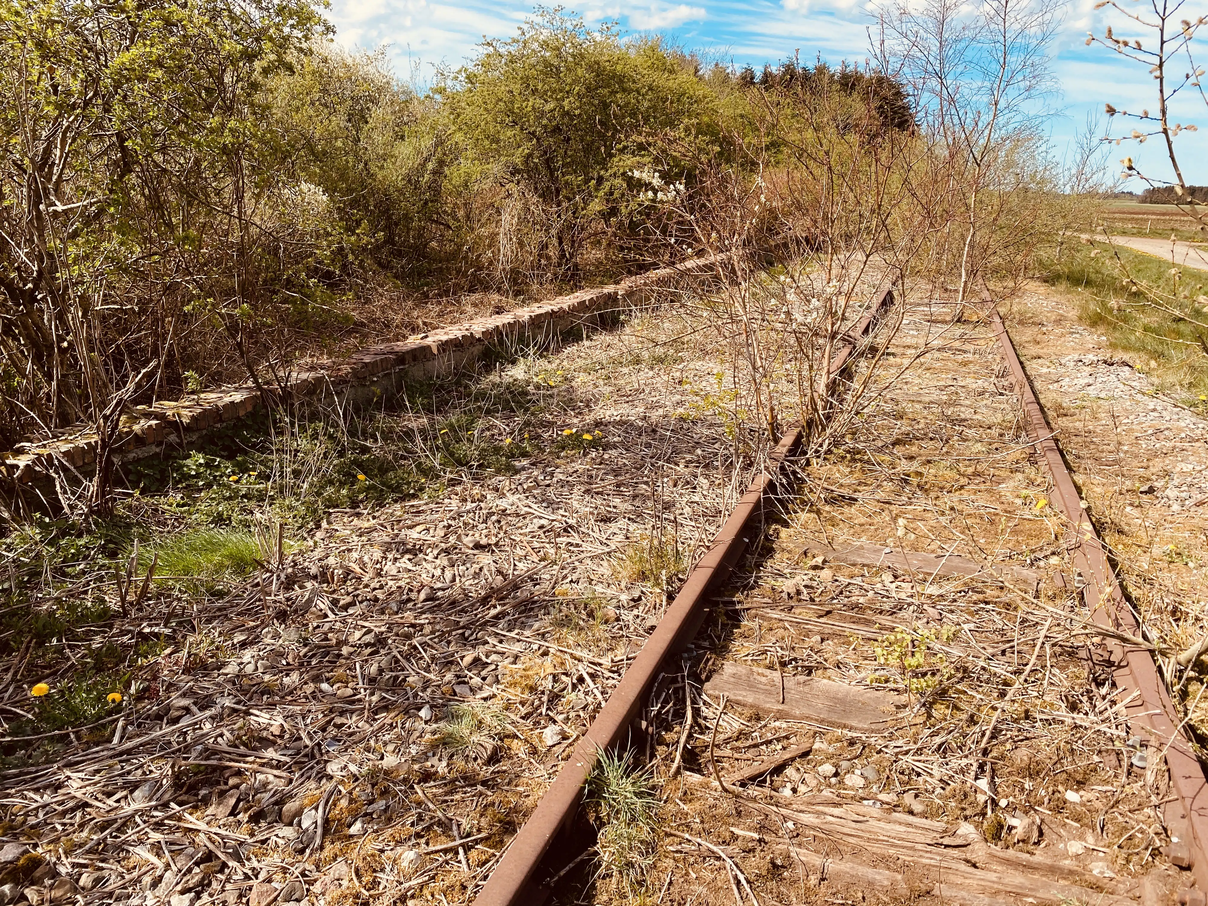 Billede af Rørkær Station uden sidespor - Station uden sidespor er nedrevet, men Rørkær Station uden sidespor har ligget her. Billede af Rørkær Station uden sidespor - Station uden sidespor er nedrevet, men Rørkær Station uden sidespor har ligget her.