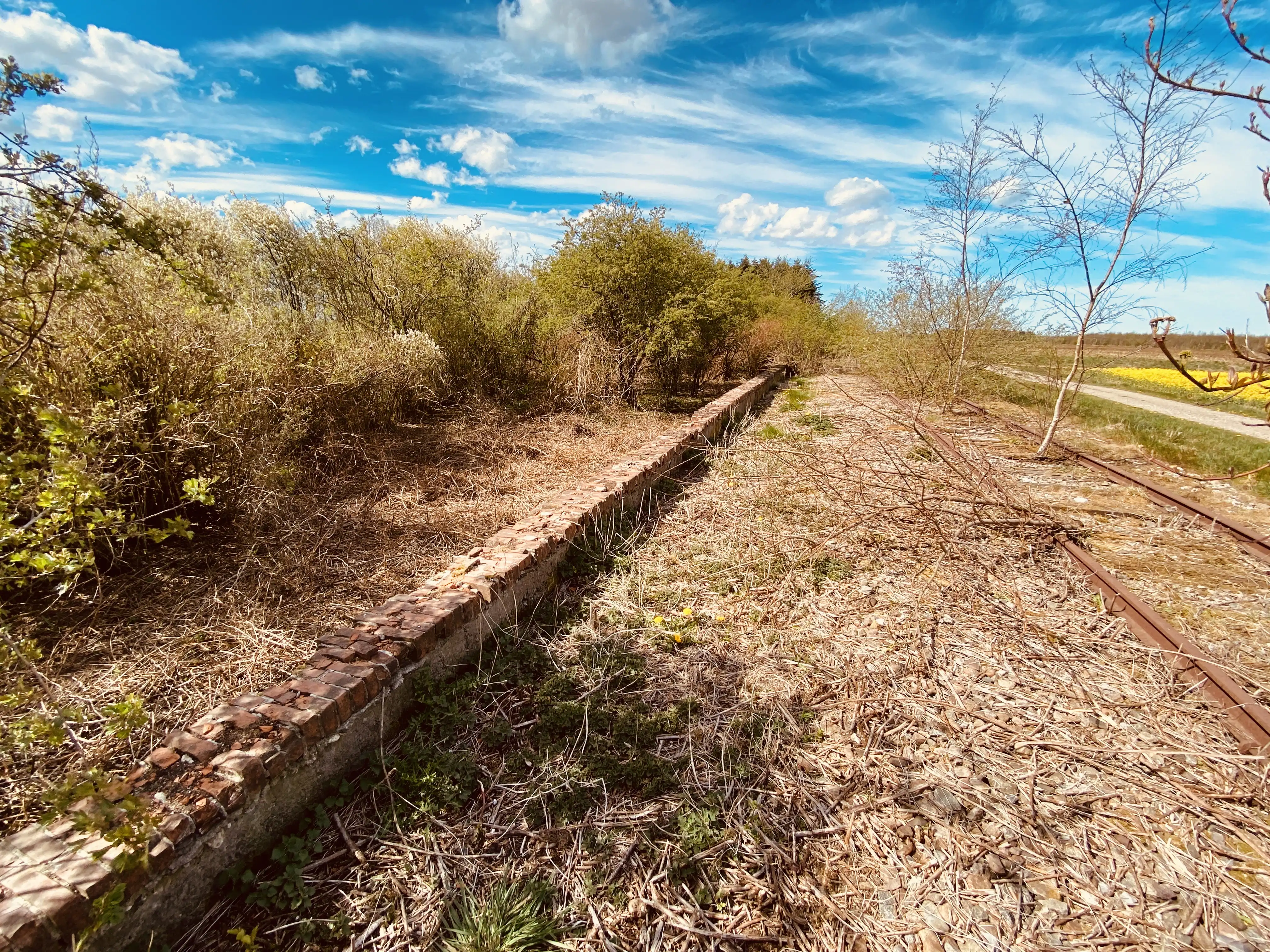 Billede af Rørkær Station uden sidespor - Station uden sidespor er nedrevet, men Rørkær Station uden sidespor har ligget her. Billede af Rørkær Station uden sidespor - Station uden sidespor er nedrevet, men Rørkær Station uden sidespor har ligget her.
