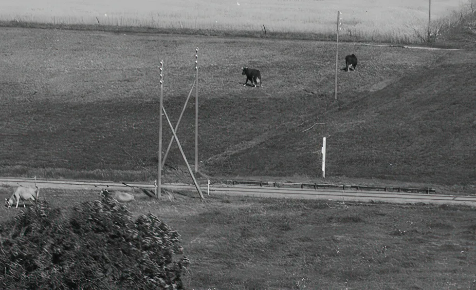 Billede af Hedegaard Trinbræt. Billede af Hedegaard Trinbræt.
