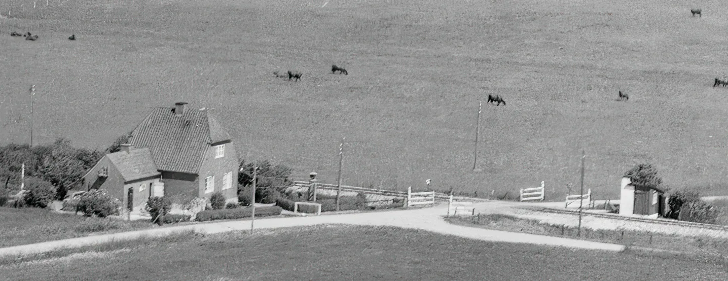 Billede af Elling Trinbræt. Billede af Elling Trinbræt.